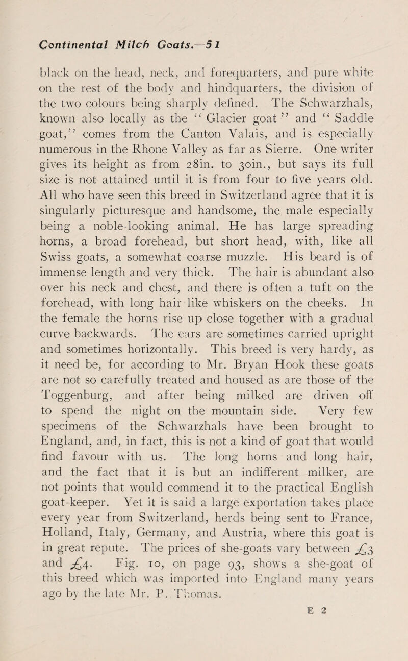 black on the head, neck, and forequarters, and pure white on the rest of the body and hindquarters, the division of the two colours being sharply defined. The Schwarzhals, known also locally as the “ Glacier goat ” and 11 Saddle goat,” comes from the Canton Valais, and is especially numerous in the Rhone Valley as far as Sierre. One writer gives its height as from 28m. to 30m., but says its full size is not attained until it is from four to five years old. All who have seen this breed in Switzerland agree that it is singularly picturesque and handsome, the male especially being a noble-looking animal. He has large spreading horns, a broad forehead, but short head, with, like all Swiss goats, a somewhat coarse muzzle. His beard is of immense length and very thick. The hair is abundant also over his neck and chest, and there is often a tuft on the forehead, with long hair like whiskers on the cheeks. In the female the horns rise up close together with a gradual curve backwards. The ears are sometimes carried upright and sometimes horizontally. This breed is very hardy, as it need be, for according to Mr. Bryan Hook these goats are not so carefully treated and housed as are those of the Toggenburg, and after being milked are driven off to spend the night on the mountain side. Very few specimens of the Schwarzhals have been brought to England, and, in fact, this is not a kind of goat that would find favour with us. The long horns and long hair, and the fact that it is but an indifferent milker, are not points that would commend it to the practical English goat-keeper. Yet it is said a large exportation takes place every year from Switzerland, herds being sent to France, Holland, Italy, Germany, and Austria, where this goat is in great repute. The prices of she-goats vary between ^3 and £/\. Fig. 10, on page 93, shows a she-goat of this breed which was imported into England many years ago by the late Mr. P. Thomas. e 2