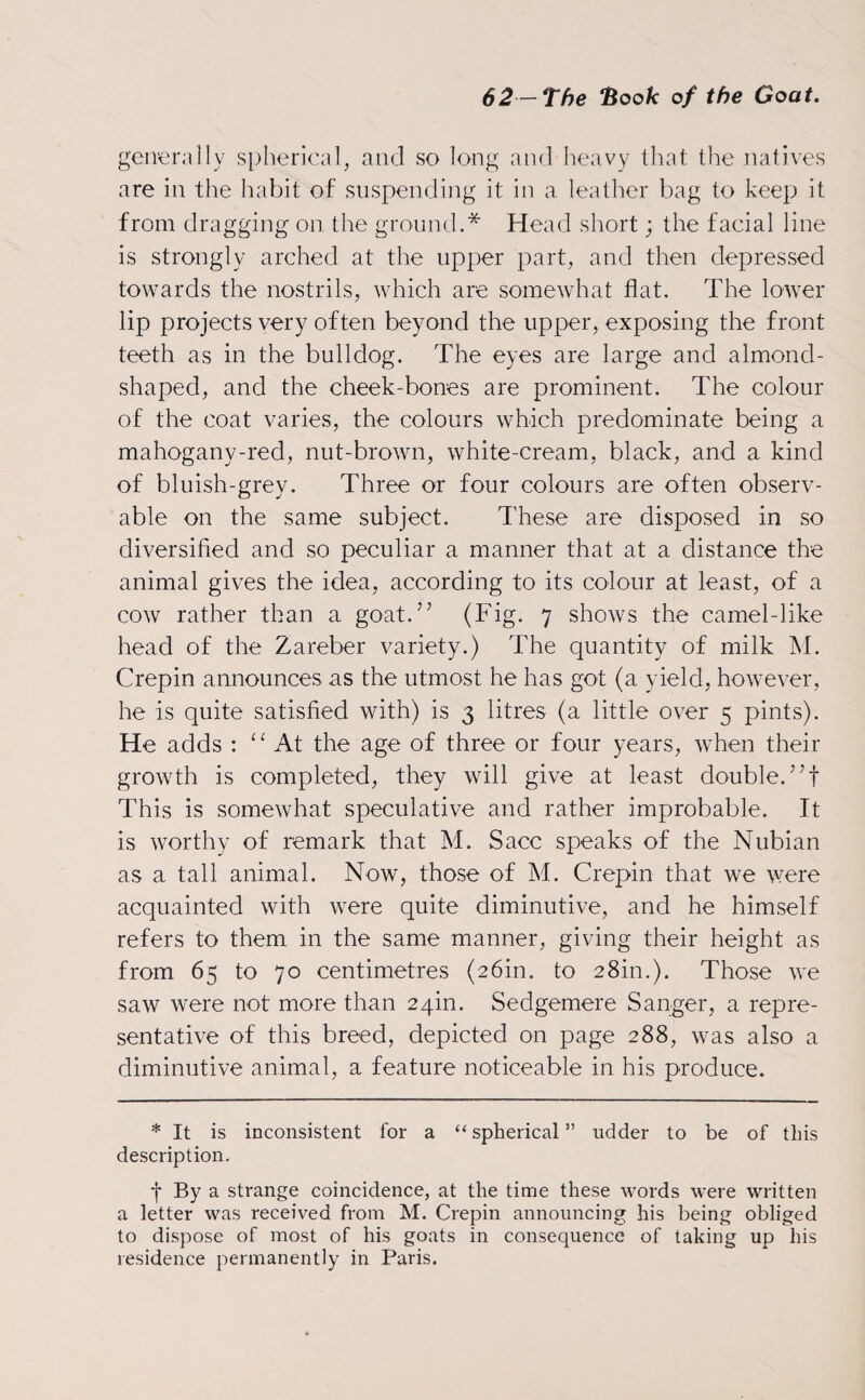 generally spherical, and so long and heavy that the natives are in the habit of suspending it in a leather bag to keep it from dragging on the ground.* Head short; the facial line is strongly arched at the upper part, and then depressed towards the nostrils, which are somewhat flat. The lower lip projects very often beyond the upper, exposing the front teeth as in the bulldog. The eyes are large and almond- shaped, and the cheek-bones are prominent. The colour of the coat varies, the colours which predominate being a mahogany-red, nut-brown, white-cream, black, and a kind of bluish-grey. Three or four colours are often observ¬ able on the same subject. These are disposed in so diversified and so peculiar a manner that at a distance the animal gives the idea, according to its colour at least, of a cow rather than a goat.7’ (Fig. 7 shows the camel-like head of the Zareber variety.) The quantity of milk M. Crepin announces as the utmost he has got (a yield, however, he is quite satisfied with) is 3 litres (a little over 5 pints). He adds : “ At the age of three or four years, when their growth is completed, they will give at least double.77! This is somewhat speculative and rather improbable. It is worthy of remark that M. Sacc speaks of the Nubian as a tall animal. Now, those of M. Crepin that we were acquainted with were quite diminutive, and he himself refers to them in the same manner, giving their height as from 65 to 70 centimetres (26m. to 28m.). Those we saw were not more than 24m. Sedgemere Sanger, a repre¬ sentative of this breed, depicted on page 288, was also a diminutive animal, a feature noticeable in his produce. * It is inconsistent for a “ spherical ” udder to be of this description. j* By a strange coincidence, at the time these words were written a letter was received from M. Crepin announcing his being obliged to dispose of most of his goats in consequence of taking up his residence permanently in Paris.