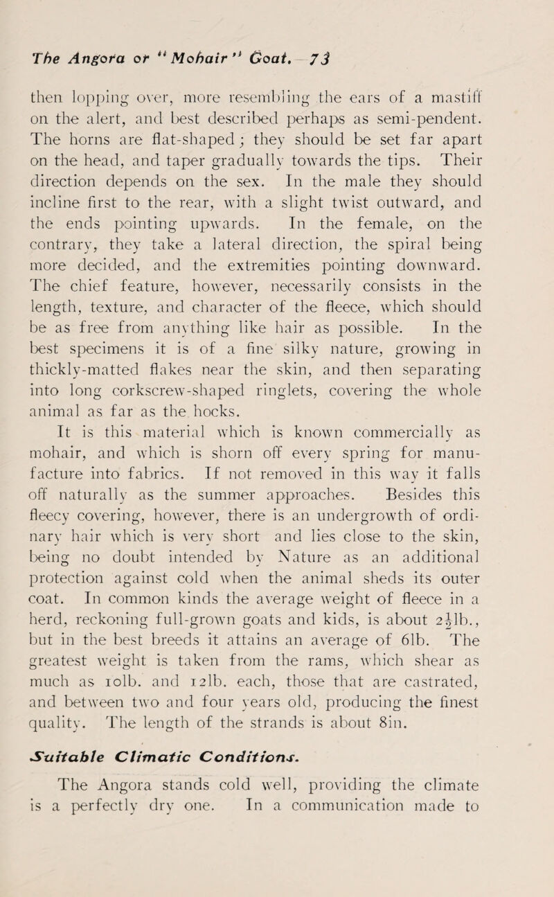 then lopping over, more resembling the ears of a mastiff on the alert, and best described perhaps as semi-pendent. The horns are flat-shaped; they should be set far apart on the head, and taper gradually towards the tips. Their direction depends on the sex. In the male they should incline first to the rear, with a slight twist outward, and the ends pointing upwards. In the female, on the contrary, they take a lateral direction, the spiral being more decided, and the extremities pointing downward. The chief feature, however, necessarily consists in the length, texture, and character of the fleece, which should be as free from anything like hair as possible. In the best specimens it is of a fine silky nature, growing in thickly-matted flakes near the skin, and then separating into long corkscrew-shaped ringlets, covering the whole animal as far as the hocks. It is this material which is known commercially as mohair, and which is shorn off every spring for manu¬ facture into fabrics. If not removed in this way it falls off naturally as the summer approaches. Besides this fleecy covering, however, there is an undergrowth of ordi¬ nary hair which is very short and lies close to the skin, being no doubt intended by Nature as an additional protection against cold when the animal sheds its outer coat. In common kinds the average weight of fleece in a herd, reckoning full-grown goats and kids, is about 2Jib., but in the best breeds it attains an average of 61b. The greatest weight is taken from the rams, which shear as much as iolb. and i2lb. each, those that are castrated, and between two and four years old, producing the finest quality. The length of the strands is about 8in. Suitable Climatic Conditions. The Angora stands cold well, providing the climate is a perfectly dry one. In a communication made to