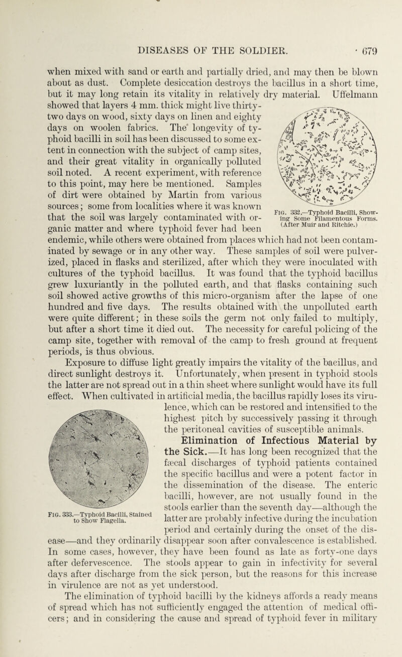 when mixed with sand or earth and partially dried, and may then be blown about as dust. Complete desiccation destroys the bacillus in a short time, but it may long retain its vitality in relatively dry material. Uffelmann showed that layers 4 mm. thick might live thirty - two days on wood, sixty days on linen and eighty days on woolen fabrics. The longevity of ty¬ phoid bacilli in soil has been discussed to some ex¬ tent in connection with the subject of camp sites, and their great vitality in organically polluted soil noted. A recent experiment, with reference to this point, may here be mentioned. Samples of dirt were obtained by Martin from various sources; some from localities where it was known that the soil was largely contaminated with or¬ ganic matter and where typhoid fever had been endemic, while others were obtained from places which had not been contam¬ inated by sewage or in any other way. These samples of soil were pulver¬ ized, placed in flasks and sterilized, after which they were inoculated with cultures of the typhoid bacillus. It was found that the typhoid bacillus grew luxuriantly in the polluted earth, and that flasks containing such soil showed active growths of this micro-organism after the lapse of one hundred and five days. The results obtained with the unpolluted earth were quite different; in these soils the germ not only failed to multiply, but after a short time it died out. The necessity for careful policing of the camp site, together with removal of the camp to fresh ground at frequent periods, is thus obvious. Exposure to diffuse light greatly impairs the vitality of the bacillus, and direct sunlight destroys it. Unfortunately, when present in typhoid stools the latter are not spread out in a thin sheet where sunlight would have its full effect. When cultivated in artificial media, the bacillus rapidly loses its viru¬ lence, which can be restored and intensified to the highest pitch by successively passing it through the peritoneal cavities of susceptible animals. Elimination of Infectious Material by the Sick.—It has long been recognized that the faecal discharges of typhoid patients contained the specific bacillus and were a potent factor in the dissemination of the disease. The enteric bacilli, however, are not usually found in the stools earlier than the seventh day—although the latter are probably infective during the incubation period and certainly during the onset of the dis¬ ease—and they ordinarily disappear soon after convalescence is established. In some cases, however, they have been found as late as forty-one days after defervescence. The stools appear to gain in infectivity for several days after discharge from the sick person, but the reasons for this increase in virulence are not as yet understood. The elimination of typhoid bacilli by the kidneys affords a ready means of spread which has not sufficiently engaged the attention of medical offi¬ cers; and in considering the cause and spread of typhoid fever in military Fig. 333.—Typhoid Bacilli, Stained to Show Flagella. Fig. 332.—Typhoid Bacilli, Show¬ ing Some Filamentous Forms. (After Muir and Ritchie.)