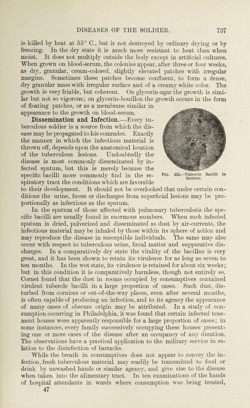 is killed by heat at 55° C., but is not destroyed by ordinary drying or by freezing. In the dry state it is much more resistant to heat Ilian when moist. It does not multiply outside the body except in artificial cultures. When grown on blood-serum, the colonies appear, after three or four weeks, as dry, granular, cream-colored, slightly elevated patches with irregular margins. Sometimes these patches become confluent, to form a dense, dry granular mass with irregular surface and of a creamy white color. The growth is very friable, but coherent. On glycerin-agar the growth is simi¬ lar but not so vigorous; on glycerin-bouillon the growth occurs in the form of floating patches, or as a membrane similar in appearance to the growth on blood-serum. Dissemination and Infection.—Every tu¬ berculous soldier is a source from which the dis¬ ease may be propagated to his comrades. Exactly the manner in which the infectious material is thrown off, depends upon the anatomical location of the tuberculous lesions. Undoubtedly the disease is most commonly disseminated by in¬ fected sputum, but this is merely because the specific bacilli more commonly find in the re¬ spiratory tract the conditions which are favorable to their development. It should not be overlooked that under certain con¬ ditions the urine, faeces or discharges from superficial lesions may be pro¬ portionally as infectious as the sputum. In the sputum of those affected with pulmonary tuberculosis the spe¬ cific bacilli are usually found in enormous numbers. When such infected sputum is dried, pulverized and disseminated as dust by air-currents, the infectious material may be inhaled by those within its sphere of action and may reproduce the disease in susceptible individuals. The same may also occur with respect to tuberculous urine, faecal matter and suppurative dis¬ charges. In a comparatively dry state the vitality of the bacillus is very great, and it has been shown to retain its virulence for as long as seven to ten months. In the wet state, its virulence is retained for about six weeks; but in this condition it is comparatively harmless, though not entirely so. Cornet found that the dust in rooms occupied by consumptives contained virulent tubercle bacilli in a large proportion of cases. Such dust, dis¬ turbed from cornices or out-of-the-way places, even after several months, is often capable of producing an infection, and to its agency the appearance of many cases of obscure origin may be attributed. In a study of con¬ sumption occurring in Philadelphia, it was found that certain infected tene¬ ment houses were apparently responsible for a large proportion of cases; in some instances, every family successively occupying these houses present¬ ing one or more cases of the disease after an occupancy of any duration. The observations have a practical application to the military service in re¬ lation to the disinfection of barracks. While the breath in consumptives does not appear to convey the in¬ fection, fresh tuberculous material may readily be transmitted to food or drink by unwashed hands or similar agency, and give rise to the disease when taken into the alimentary tract. In ten examinations of the hands of hospital attendants in wards where consumption was being treated, 47 Fig. 353.—Tubercle Bacilli in Sputum.