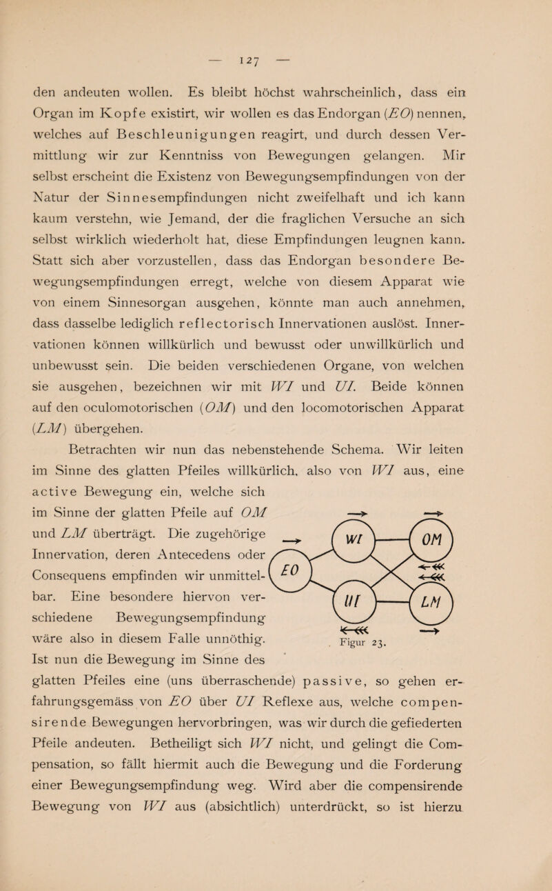 den andeuten wollen. Es bleibt höchst wahrscheinlich, dass ein Organ im Kopfe existirt, wir wollen es das Endorgan (EO) nennenr welches auf Beschleunigungen reagirt, und durch dessen Ver¬ mittlung wir zur Kenntniss von Bewegungen gelangen. Mir selbst erscheint die Existenz von Bewegungsempfindungen von der Natur der Sinnesempfindungen nicht zweifelhaft und ich kann kaum verstehn, wie Jemand, der die fraglichen Versuche an sich selbst wirklich wiederholt hat, diese Empfindungen leugnen kann.. Statt sich aber vorzustellen, dass das Endorgan besondere Be¬ wegungsempfindungen erregt, welche von diesem Apparat wie von einem Sinnesorgan ausgehen, könnte man auch annehmen,, dass dasselbe lediglich reflectorisch Innervationen auslöst. Inner¬ vationen können willkürlich und bewusst oder unwillkürlich und unbewusst sein. Die beiden verschiedenen Organe, von welchen sie ausgehen, bezeichnen wir mit WI und UL Beide können auf den oculomotorischen (OM) und den locomotorischen Apparat (LM) übergehen. Betrachten wir nun das nebenstehende Schema. Wir leiten im Sinne des glatten Pfeiles willkürlich, also von WI aus, eine active Bewegung ein, welche sich im Sinne der glatten Pfeile auf OM und LM überträgt. Die zugehörige Innervation, deren Antecedens oder Consequens empfinden wir unmittel¬ bar. Eine besondere hiervon ver¬ schiedene Bewegungsempfindung wäre also in diesem Falle unnöthig. Ist nun die Bewegung im .Sinne des glatten Pfeiles eine (uns überraschende) passive, so gehen er- fahrungsgemäss von EO über UI Reflexe aus, welche compen- sirende Bewegungen hervorbringen, was wir durch die gefiederten Pfeile andeuten. Betheiligt sich WI nicht, und gelingt die Com- pensation, so fällt hiermit auch die Bewegung und die Forderung einer Bewegungsempfindung weg. Wird aber die compensirende Bewegung von WI aus (absichtlich) unterdrückt, so ist hierzu Figur 23.