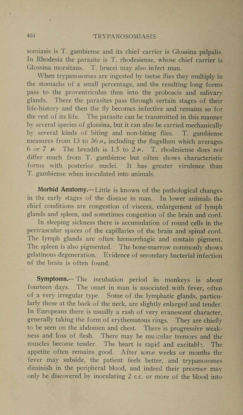 somiasis is T. gambiense and its chief carrier is Glossina palpalis. In Rhodesia the parasite is T. rhodesiense, whose chief carrier is Glossina morsitaus. T. brucei may also infect man. When trypanosomes are ingested by tsetse flies they multiply in the stomachs of a small percentage, and the resulting long forms pass to the proventriculus then into the proboscis and salivary glands. There the parasites pass through certain stages of their life-history and then the fly becomes infective and remains so for the rest of its life. The parasite can be transmitted in this manner by several species of glossina, but it can also be carried mechanically by several kinds of biting and non-biting flies. T. gambiense measures from 13 to 36 a, including the flagellum which averages 6 or 7 A- The breadth is 1.5 to 2 a. T. rhodesiense does not differ much from T. gambiense but often shows characteristic forms with posterior nuclei. It has greater virulence than T. gambiense when inoculated into animals. Morbid Anatomy.—Little is known of the pathological changes in the early stages of the disease in man. In lower animals the chief conditions are congestion of viscera, enlargement of lymph glands and spleen, and sometimes congestion of the brain and cord. In sleeping sickness there is accumulation of round cells in the perivascular spaces of the capillaries of the brain and spinal corck The lymph glands are often haemorrhagic and contain pigment. The spleen is also pigmented. The bone-marrow commonly shows gelatinous degeneration. Evidence of secondary bacterial infection of the brain is often found. Symptoms.— The incubation period in monkeys is about fourteen days. The onset in man is associated with fever, often of a very irregular type. Some of the lymphatic glands, particu¬ larly those at the back of the neck, are slightly enlarged and tender. In Europeans there is usually a rash of very evanescent character, generally taking the form of erythematous rings. They are chiefly to be seen on the abdomen and chest. There is progressive weak¬ ness and loss of flesh. There may be muscular tremors and the muscles become tender. The heart is rapid and excitable. The appetite often remains ^good. After some weeks or months the fever may subside, the patient feels better, and trypanosomes diminish in the peripheral blood, and indeed their presence may only be discovered by inoculating 2 c.c. or more of the blood into