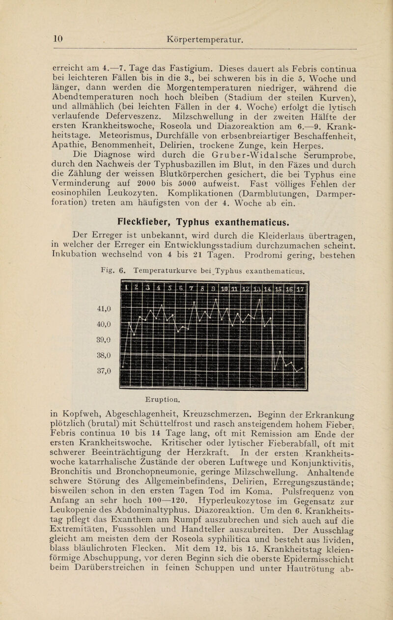 erreicht am 4.—7. Tage das Fastigium. Dieses dauert als Febris continua bei leichteren Fällen bis in die 3., bei schweren bis in die 5. Woche und länger, dann werden die Morgentemperaturen niedriger, während die Abendtemperaturen noch hoch bleiben (Stadium der steilen Kurven), und allmählich (bei leichten Fällen in der 4. Woche) erfolgt die lytisch verlaufende Deferveszenz. Milzschwellung in der zweiten Hälfte der ersten Krankheitswoche, Roseola und Diazoreaktion am 6.—9. Krank¬ heitstage. Meteorismus, Durchfälle von erbsenbreiartiger Beschaffenheit, Apathie, Benommenheit, Delirien, trockene Zunge, kein Herpes. Die Diagnose wird durch die Gruber-Widalsche Serumprobe, durch den Nachweis der Typhusbazillen im Blut, in den Fäzes und durch die Zählung der weissen Blutkörperchen gesichert, die bei Typhus eine Verminderung auf 2000 bis 5000 aufweist. Fast völliges Fehlen der eosinophilen Leukozyten. Komplikationen (Darmblutungen, Darmper¬ foration) treten am häufigsten von der 4. Woche ab ein. Fleckfieber, Typhus exanthematicus. Der Erreger ist unbekannt, wird durch die Kleiderlaus übertragen, in welcher der Erreger ein Entwicklungsstadium durchzumachen scheint. Inkubation wechselnd von 4 bis 21 Tagen. Prodromi gering, bestehen Fig. 6. Temperaturkurve bei Typhus exanthematicus. 41,0 40,0 39,0 38,0 37,0 in Kopfweh, Abgeschlagenheit, Kreuzschmerzen. Beginn der Erkrankung plötzlich (brutal) mit Schüttelfrost und rasch ansteigendem hohem Fieber, Febris continua 10 bis 14 Tage lang, oft mit Remission am Ende der ersten Krankheitswoche. Kritischer oder lytischer Fieberabfall, oft mit schwerer Beeinträchtigung der Herzkraft. In der ersten Krankheits¬ woche katarrhalische Zustände der oberen Luftwege und Konjunktivitis, Bronchitis und Bronchopneumonie, geringe Milzschwellung. Anhaltende schwere Störung des Allgemeinbefindens, Delirien, Erregungszustände; bisweilen schon in den ersten Tagen Tod im Koma. Pulsfrequenz von Anfang an sehr hoch 100—120. Hyperleukozytose im Gegensatz zur Leukopenie des Abdominaltyphus. Diazoreaktion. Um den 6. Krankheits¬ tag pflegt das Exanthem am Rumpf auszubrechen und sich auch auf die Extremitäten, Fusssohlen und Handteller auszubreiten. Der Ausschlag gleicht am meisten dem der Roseola syphilitica und besteht aus lividen, blass bläulichroten Flecken. Mit dem 12. bis 15. Krankheitstag kleien¬ förmige Abschuppung, vor deren Beginn sich die oberste Epidermisschicht beim Darüberstreichen in feinen Schuppen und unter Hautrötung ab- 6. Temperaturkurve bei Typhus exanthematicus.