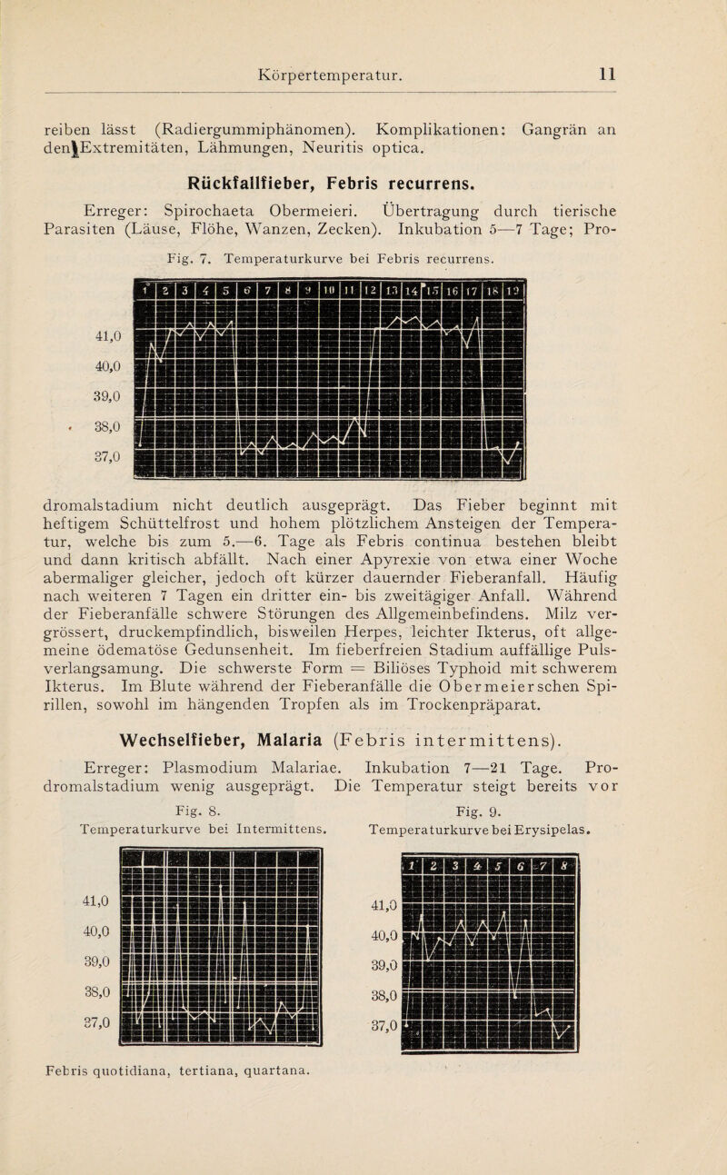 reiben lässt (Radiergummiphänomen). Komplikationen: Gangrän an den|Extremitäten, Lähmungen, Neuritis optica. Rückfallfieber, Febris recurrens. Erreger: Spirochaeta Obermeieri. Übertragung durch tierische Parasiten (Läuse, Flöhe, Wanzen, Zecken). Inkubation 5—7 Tage; Pro- Fig. 7. Temperaturkurve bei Febris recurrens. 41,0 40,0 39,0 . 38,0 37,0 dromalstadium nicht deutlich ausgeprägt. Das Fieber beginnt mit heftigem Schüttelfrost und hohem plötzlichem Ansteigen der Tempera¬ tur, welche bis zum 5.—6. Tage als Febris continua bestehen bleibt und dann kritisch abfällt. Nach einer Apyrexie von etwa einer Woche abermaliger gleicher, jedoch oft kürzer dauernder Fieberanfall. Häufig nach weiteren 7 Tagen ein dritter ein- bis zweitägiger Anfall. Während der Fieberanfälle schwere Störungen des Allgemeinbefindens. Milz ver- grössert, druckempfindlich, bisweilen Herpes, leichter Ikterus, oft allge¬ meine ödematöse Gedunsenheit. Im fieberfreien Stadium auffällige Puls¬ verlangsamung. Die schwerste Form = Biliöses Typhoid mit schwerem Ikterus. Im Blute während der Fieberanfälle die Obermeiersehen Spi¬ rillen, sowohl im hängenden Tropfen als im Trockenpräparat. Wechselfieber, Malaria (Febris intermittens). Erreger: Plasmodium Malariae. Inkubation 7—21 Tage. Pro¬ dromalstadium wenig ausgeprägt. Die Temperatur steigt bereits vor Fig. 8. Fig. 9. Temperaturkurve bei Intermittens. Temperaturkurve bei Erysipelas. Febris quotidiana, tertiana, quartana.