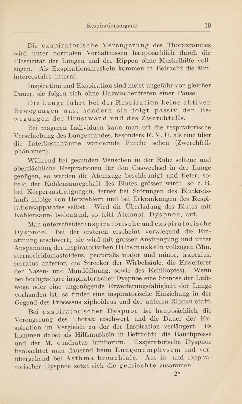 Die exspiratorische Verengerung des Thoraxraumes wird unter normalen Verhältnissen hauptsächlich durch die Elastizität der Lungen und der Rippen ohne Muskelhilfe voll¬ zogen. Als Exspirationsmuskeln kommen in Betracht die Mm. intercostales interni. Inspiration und Exspiration sind meist ungefähr von gleicher Dauer, sie folgen sich ohne Dazwischentreten einer Pause. Die Lunge führt bei der Respiration keine aktiven Bewegungen aus, sondern sie folgt passiv den Be¬ wegungen der Brustwand und des Zwerchfells. Bei mageren Individuen kann man oft die respiratorische Verschiebung des Lungenrandes, besonders R. V. U. als eine über die Interkostalräume wandernde Furche sehen (Zwerchfell¬ phänomen). Während bei gesunden Menschen in der Ruhe seltene und oberflächliche Respirationen für den Gaswechsel in der Lunge genügen, so werden die Atemzüge beschleunigt und tiefer, so¬ bald der Kohlensäuregehalt des Blutes grösser wird; so z. B. bei Körperanstrengungen, ferner bei Störungen des Blutkreis¬ laufs infolge von Herzfehlern und bei Erkrankungen des Respi¬ rationsapparates selbst. Wird die Überladung des Blutes mit Kohlensäure bedeutend, so tritt Atemnot, Dyspnoe, auf. Man unterscheidet inspiratorische und exspiratorische Dyspnoe. Bei der ersteren erscheint vorwiegend die Ein¬ atmung erschwert; sie wird mit grosser Anstrengung und unter Anspannung der inspiratorischen Hilfs muskeln vollzogen (Mm. sternocleidomastoideus, pectoralis major und minor, trapezius, serratus anterior, die Strecker der Wirbelsäule, die Erweiterer der Nasen- und Mundöffnung, sowie des Kehlkopfes). Wenn bei hochgradiger inspiratorischer Dyspnoe eine Stenose der Luft¬ wege oder eine ungenügende Erweiterungsfähigkeit der Lunge vorhanden ist, so findet eine inspiratorische Einziehung in der Gegend des Processus xiphoideus und der unteren Rippen statt. Bei exspiratorischer Dyspnoe ist hauptsächlich die Verengerung des Thorax erschwert und die Dauer der Ex¬ spiration im Vergleich zu der der Inspiration verlängert. Es kommen dabei als Hilfsmuskeln in Betracht: die Bauchpresse und der M. quadratus lumborum. Exspiratorische Dyspnoe beobachtet man dauernd beim Lungenemphysem und vor¬ übergehend bei Asthma bronchiale. Aus in- und exspira¬ torischer Dyspnoe setzt sich die gemischte zusammen. 2*