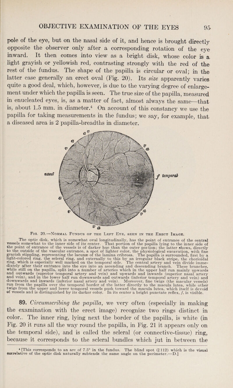 pole of the eye, but on the nasal side of it, and hence is brought directly opposite the observer only after a corresponding rotation of the eye inward. It then comes into view as a bright disk, whose color is a light grayish or yellowish red, contrasting strongly with the red of the rest of the fundus. The shape of the papilla is circular or oval; in the latter case generally an erect oval (Fig. 20). Its size apparently varies quite a good deal, which, however, is due to the varying degree of enlarge¬ ment under which the papilla is seen. The true size of the papilla, measured in enucleated eyes, is, as a matter of fact, almost always the same—that is, about 1.5 mm. in diameter.4 On account of this constancy we use the papilla for taking measurements in the fundus; we say, for example, that a diseased area is 2 papilla-breadths in diameter. Fig. 20.—-Normal Fundus of the Left Eye, seen in the Erect Image. The optic disk, which is somewhat oval longitudinally, has the point of entrance of the central' vessels somewhat to the inner side of its center. That portion of the papilla lying to the inner side of the point of entrance of the vessels is of darker hue than the outer poition; the latter shows, directly to the outside of the vascular entrance, a spot of lighter color, the physiological excavation, with fine grayish stippling, representing the lacunae of the lamina cribrosa. The papilla is surrounded, first by a light-colored ring, the scleral ring, and externally to this by an irregular black stripe, the chorioidal ring, which is especially well marked on the temporal side. The central artery and vein divide imme¬ diately after their entrance into the eye into an ascending and descending branch. These branches, while still on the papilla, split into a number of arteries which in the upper half run mainly upwards and outwards (superior temporal artery and vein) and upwards and inwards (superior nasal artery and vein), and in the lower half run downwards and outwards (inferior temporal artery and vein) and downwards and inwards (inferior nasal artery and vein). Moreover, fine twigs (the macular vessels) run from the papilla over the temporal border of the latter directly to the macula lutea, while other twigs from the upper and lower temporal vessels push toward the macula lutea, which itself is devoid of vessels and is distinguished by its darker color. In its center a bright punctate reflex, /, is visible. 89. Circumscribing the papilla, we very often (especially in making the examination with the erect image) recognize two rings distinct in color.. The inner ring, lying next the border of the papilla, is white (in Fig. 20 it runs all the way round the papilla, in Fig. 21 it appears only on the temporal side), and is called the scleral (or connective-tissue) ring, because it corresponds to the scleral bundles which jut in between the 4 [This corresponds to an arc of 7.5° in the fundus. The blind spot (§ 112) which is the visual eorrelative of the optic disk naturally subtends the same angle on the perimeter.—D.]