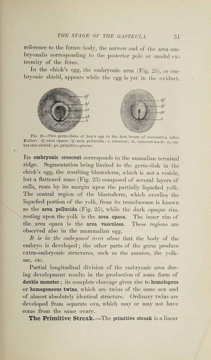 reference to the future body, the narrow end of the area em- bryonalis corresponding to the posterior pole or caudal ex¬ tremity of the fetus. In the chick’s egg, the embryonic area (Fig. 25), or em¬ bryonic shield, appears while the egg is yet in the oviduct. Fig. 25.—Two germ-disks of hen’s egg in the first hours of incubation (after Koller): df, area opaca; hf, area pellucida; s, crescent; sk, crescent-knob; es, em¬ bryonic shield; pr, primitive groove. Its embryonic crescent corresponds to the mamalian terminal ridge. Segmentation being limited to the germ-disk in the chick’s egg, the resulting blastoderm, which is not a vesicle, but a flattened mass (Fig. 23) composed of several layers of cells, rests by its margin upon the partially liquefied yolk. The central region of the blastoderm, which overlies the liquefied portion of the yolk, from its translucence is known as the area pellucida (Fig. 25), while the dark opaque rim, resting upon the yolk is the area opaca. The inner rim of the area opaca is the area vasculosa. These regions are observed also in the mammalian egg. It is in the embryonal area alone that the body of the embryo is developed; the other parts of the germ produce extra-embryonic structures, such as the amnion, the yolk- sac, etc. Partial longitudinal division of the embryonic area dur¬ ing development results in the production of some form of double monster ; its complete cleavage gives rise to homologous or homogeneous twins, which are twins of the same sex and of almost absolutely identical structure. Ordinary twins are developed from separate ova, which may or may not have come from the same ovary. The Primitive Streak.—The primitive streak is a linear