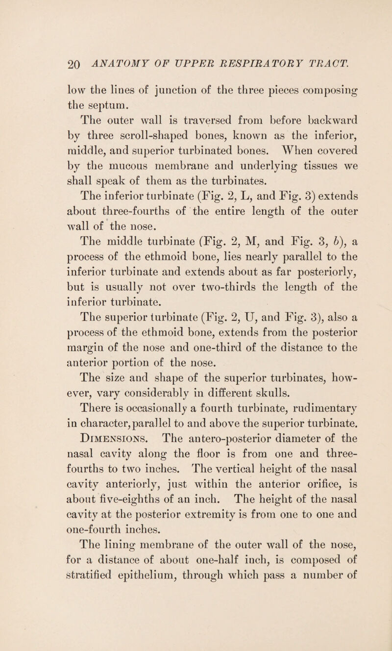 low the lines of junction of the three pieces composing the septum. The outer wall is traversed from before backward by three scroll-shaped bones, known as the inferior, middle, and superior turbinated bones. When covered by the mucous membrane and underlying tissues we shall speak of them as the turbinates. The inferior turbinate (Fig. 2, L, and Fig. 3) extends about three-fourths of the entire length of the outer wall of the nose. The middle turbinate (Fig. 2, M, and Fig. 3, b), a process of the ethmoid bone, lies nearly parallel to the inferior turbinate and extends about as far posteriorly, but is usually not over two-thirds the length of the inferior turbinate. The superior turbinate (Fig. 2, U, and Fig. 3), also a process of the ethmoid bone, extends from the posterior margin of the nose and one-third of the distance to the anterior portion of the nose. The size and shape of the superior turbinates, how¬ ever, vary considerably in different skulls. There is occasionally a fourth turbinate, rudimentary in character, para!lei to and above the superior turbinate. Dimensions. The antero-posterior diameter of the nasal cavity along the floor is from one and three- fourths to two inches. The vertical height of the nasal cavity anteriorly, just within the anterior orifice, is about five-eighths of an inch. The height of the nasal cavity at the posterior extremity is from one to one and one-fourth inches. The lining membrane of the outer wall of the nose, for a distance of about one-half inch, is composed of stratified epithelium, through which pass a number of