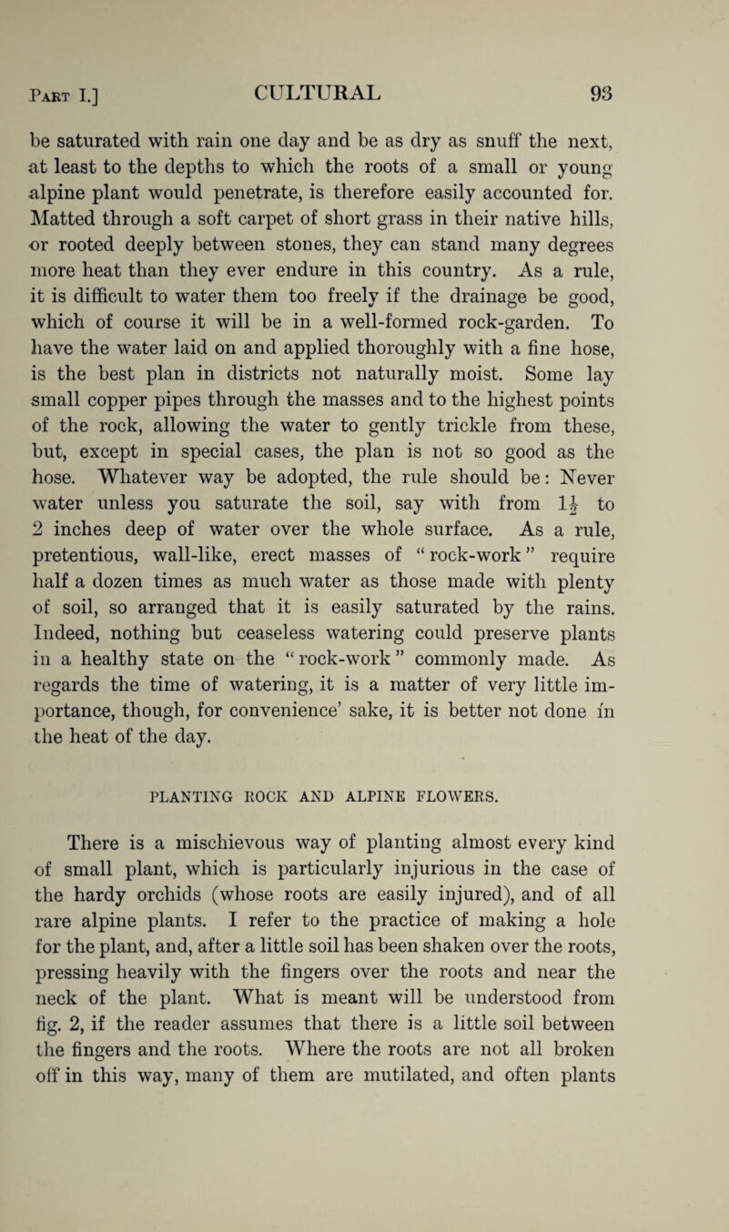 be saturated with rain one day and be as dry as snuff the next, at least to the depths to which the roots of a small or young- alpine plant would penetrate, is therefore easily accounted for. Matted through a soft carpet of short grass in their native hills, or rooted deeply between stones, they can stand many degrees more heat than they ever endure in this country. As a rule, it is difficult to water them too freely if the drainage be good, which of course it will be in a well-formed rock-garden. To have the water laid on and applied thoroughly with a fine hose, is the best plan in districts not naturally moist. Some lay small copper pipes through the masses and to the highest points of the rock, allowing the water to gently trickle from these, but, except in special cases, the plan is not so good as the hose. Whatever way be adopted, the rule should be: Never water unless you saturate the soil, say with from 1J to 2 inches deep of water over the whole surface. As a rule, pretentious, wall-like, erect masses of “ rock-work ” require half a dozen times as much water as those made with plenty of soil, so arranged that it is easily saturated by the rains. Indeed, nothing but ceaseless watering could preserve plants in a healthy state on the “ rock-work ” commonly made. As regards the time of watering, it is a matter of very little im¬ portance, though, for convenience’ sake, it is better not done m the heat of the day. PLANTING ROCK AND ALPINE FLOWERS. There is a mischievous way of planting almost every kind of small plant, which is particularly injurious in the case of the hardy orchids (whose roots are easily injured), and of all rare alpine plants. I refer to the practice of making a hole for the plant, and, after a little soil has been shaken over the roots, pressing heavily with the fingers over the roots and near the neck of the plant. What is meant will be understood from fig. 2, if the reader assumes that there is a little soil between the fingers and the roots. Where the roots are not all broken off in this way, many of them are mutilated, and often plants