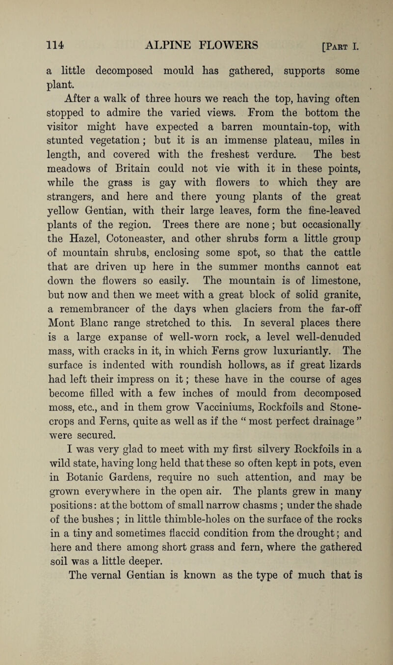 a little decomposed mould has gathered, supports some plant. After a walk of three hours we reach the top, having often stopped to admire the varied views. From the bottom the visitor might have expected a barren mountain-top, with stunted vegetation; but it is an immense plateau, miles in length, and covered with the freshest verdure. The best meadows of Britain could not vie with it in these points, while the grass is gay with flowers to which they are strangers, and here and there young plants of the great yellow Gentian, with their large leaves, form the fine-leaved plants of the region. Trees there are none; but occasionally the Hazel, Cotoneaster, and other shrubs form a little group of mountain shrubs, enclosing some spot, so that the cattle that are driven up here in the summer months cannot eat down the flowers so easily. The mountain is of limestone, but now and then we meet with a great block of solid granite, a remembrancer of the days when glaciers from the far-off Mont Blanc range stretched to this. In several places there is a large expanse of well-worn rock, a level well-denuded mass, with cracks in it, in which Ferns grow luxuriantly. The surface is indented with roundish hollows, as if great lizards had left their impress on it; these have in the course of ages become filled with a few inches of mould from decomposed moss, etc., and in them grow Yacciniums, Rockfoils and Stone- crops and Ferns, quite as well as if the “ most perfect drainage ” were secured. I was very glad to meet with my first silvery Rockfoils in a wild state, having long held that these so often kept in pots, even in Botanic Gardens, require no such attention, and may be grown everywhere in the open air. The plants grew in many positions: at the bottom of small narrow chasms ; under the shade of the bushes ; in little thimble-holes on the surface of the rocks in a tiny and sometimes flaccid condition from the drought; and here and there among short grass and fern, where the gathered soil was a little deeper. The vernal Gentian is known as the type of much that is