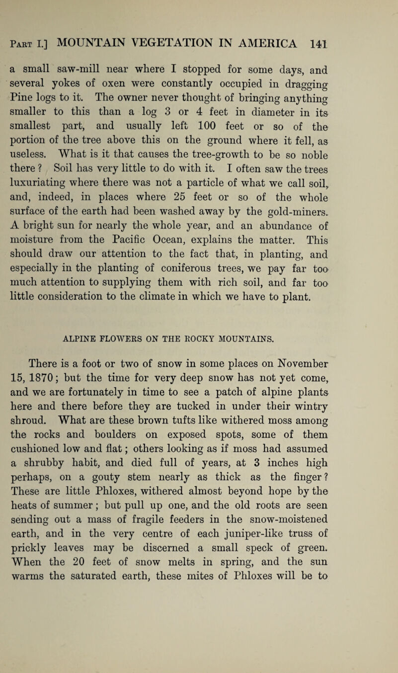 a small saw-mill near where I stopped for some days, and several yokes of oxen were constantly occupied in dragging Pine logs to it. The owner never thought of bringing anything smaller to this than a log 3 or 4 feet in diameter in its smallest part, and usually left 100 feet or so of the portion of the tree above this on the ground where it fell, as useless. What is it that causes the tree-growth to be so noble there ? Soil has very little to do with it. I often saw the trees luxuriating where there was not a particle of what we call soil,, and, indeed, in places where 25 feet or so of the whole surface of the earth had been washed away by the gold-miners. A bright sun for nearly the whole year, and an abundance of moisture from the Pacific Ocean, explains the matter. This should draw our attention to the fact that, in planting, and especially in the planting of coniferous trees, we pay far too much attention to supplying them with rich soil, and far too little consideration to the climate in which we have to plant. ALPINE FLOWERS ON THE ROCKY MOUNTAINS. There is a foot or two of snow in some places on November 15, 1870; but the time for very deep snow has not yet come, and we are fortunately in time to see a patch of alpine plants here and there before they are tucked in under their wintry shroud. What are these brown tufts like withered moss among the rocks and boulders on exposed spots, some of them cushioned low and flat; others looking as if moss had assumed a shrubby habit, and died full of years, at 3 inches high perhaps, on a gouty stem nearly as thick as the finger ? These are little Phloxes, withered almost beyond hope by the heats of summer; but pull up one, and the old roots are seen sending out a mass of fragile feeders in the snow-moistened earth, and in the very centre of each juniper-like truss of prickly leaves may be discerned a small speck of green. When the 20 feet of snow melts in spring, and the sun warms the saturated earth, these mites of Phloxes will be to