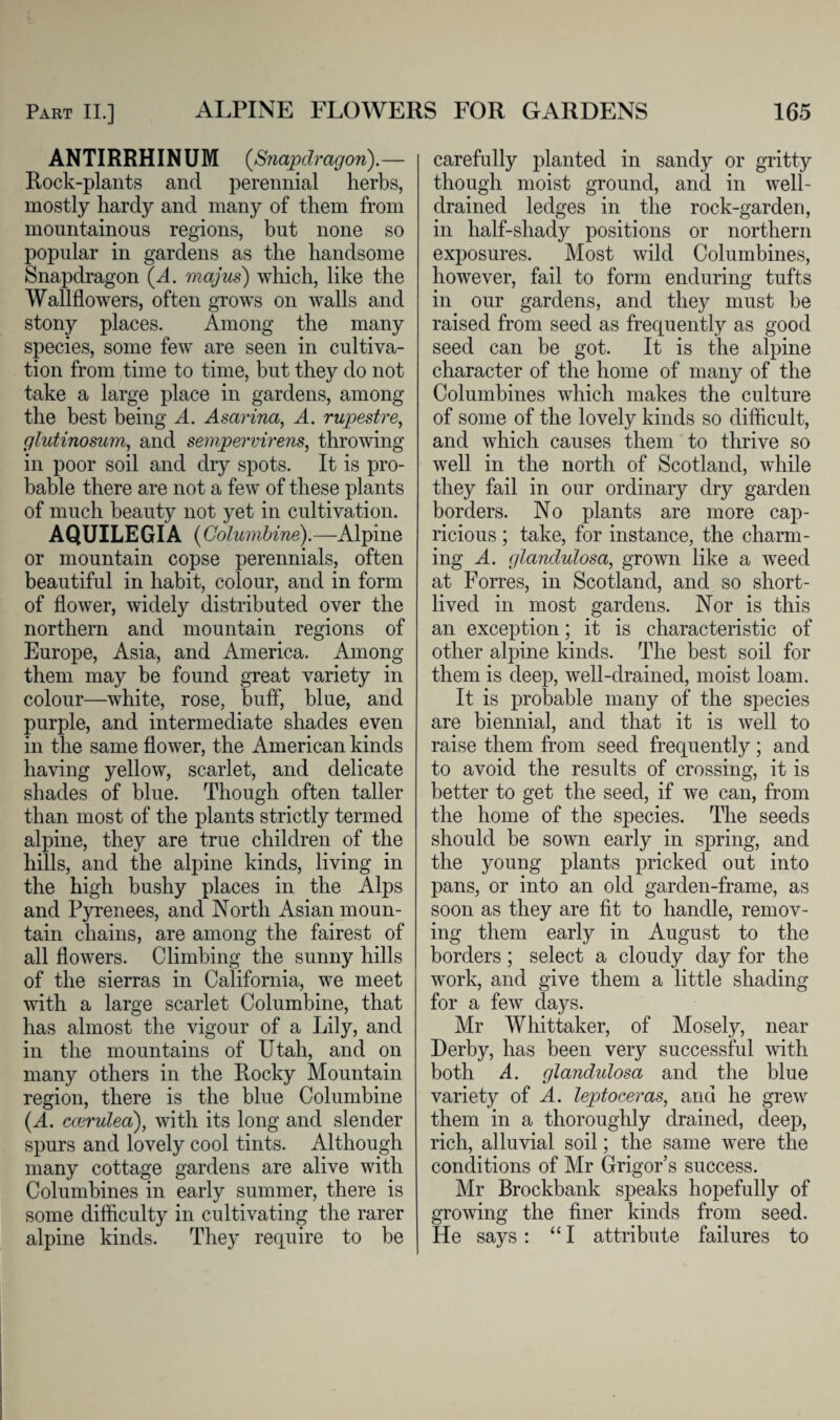 ANTIRRHINUM {Snapdragon).— Rock-plants and perennial herbs, mostly hardy and many of them from mountainous regions, but none so popular in gardens as the handsome Snapdragon {A. majus) which, like the Wallflowers, often grows on walls and stony places. Among the many species, some few are seen in cultiva¬ tion from time to time, but they do not take a large place in gardens, among the best being A. Asarina, A. rupestre, glutinosum, and sempervirens, throwing in poor soil and dry spots. It is pro¬ bable there are not a few of these plants of much beauty not yet in cultivation. AQUILEGIA {Columbine).—Alpine or mountain copse perennials, often beautiful in habit, colour, and in form of flower, widely distributed over the northern and mountain regions of Europe, Asia, and America. Among them may be found great variety in colour—white, rose, buff, blue, and purple, and intermediate shades even in the same flower, the American kinds having yellow, scarlet, and delicate shades of blue. Though often taller than most of the plants strictly termed alpine, they are true children of the hills, and the alpine kinds, living in the high bushy places in the Alps and Pyrenees, and North Asian moun¬ tain chains, are among the fairest of all flowers. Climbing the sunny hills of the sierras in California, we meet with a large scarlet Columbine, that has almost the vigour of a Lily, and in the mountains of Utah, and on many others in the Rocky Mountain region, there is the blue Columbine {A. ccerulea), with its long and slender spurs and lovely cool tints. Although many cottage gardens are alive with Columbines in early summer, there is some difficulty in cultivating the rarer alpine kinds. They require to be carefully planted in sandy or gritty though moist ground, and in well- drained ledges in the rock-garden, in half-shady positions or northern exposures. Most wild Columbines, however, fail to form enduring tufts in our gardens, and they must be raised from seed as frequently as good seed can be got. It is the alpine character of the home of many of the Columbines which makes the culture of some of the lovely kinds so difficult, and which causes them to thrive so well in the north of Scotland, while they fail in our ordinary dry garden borders. No plants are more cap¬ ricious ; take, for instance, the charm¬ ing A. glandulosa, grown like a weed at Forres, in Scotland, and so short¬ lived in most gardens. Nor is this an exception; it is characteristic of other alpine kinds. The best soil for them is deep, well-drained, moist loam. It is probable many of the species are biennial, and that it is well to raise them from seed frequently; and to avoid the results of crossing, it is better to get the seed, if we can, from the home of the species. The seeds should be sown early in spring, and the young plants pricked out into pans, or into an old garden-frame, as soon as they are fit to handle, remov¬ ing them early in August to the borders; select a cloudy day for the work, and give them a little shading for a few days. Mr Whittaker, of Mosely, near Derby, has been very successful with both A. glandulosa and the blue variety of A. leptoceras, and he grew them in a thoroughly drained, deep, rich, alluvial soil; the same were the conditions of Mr Grigor’s success. Mr Brockbank speaks hopefully of growing the finer kinds from seed. He says: “I attribute failures to