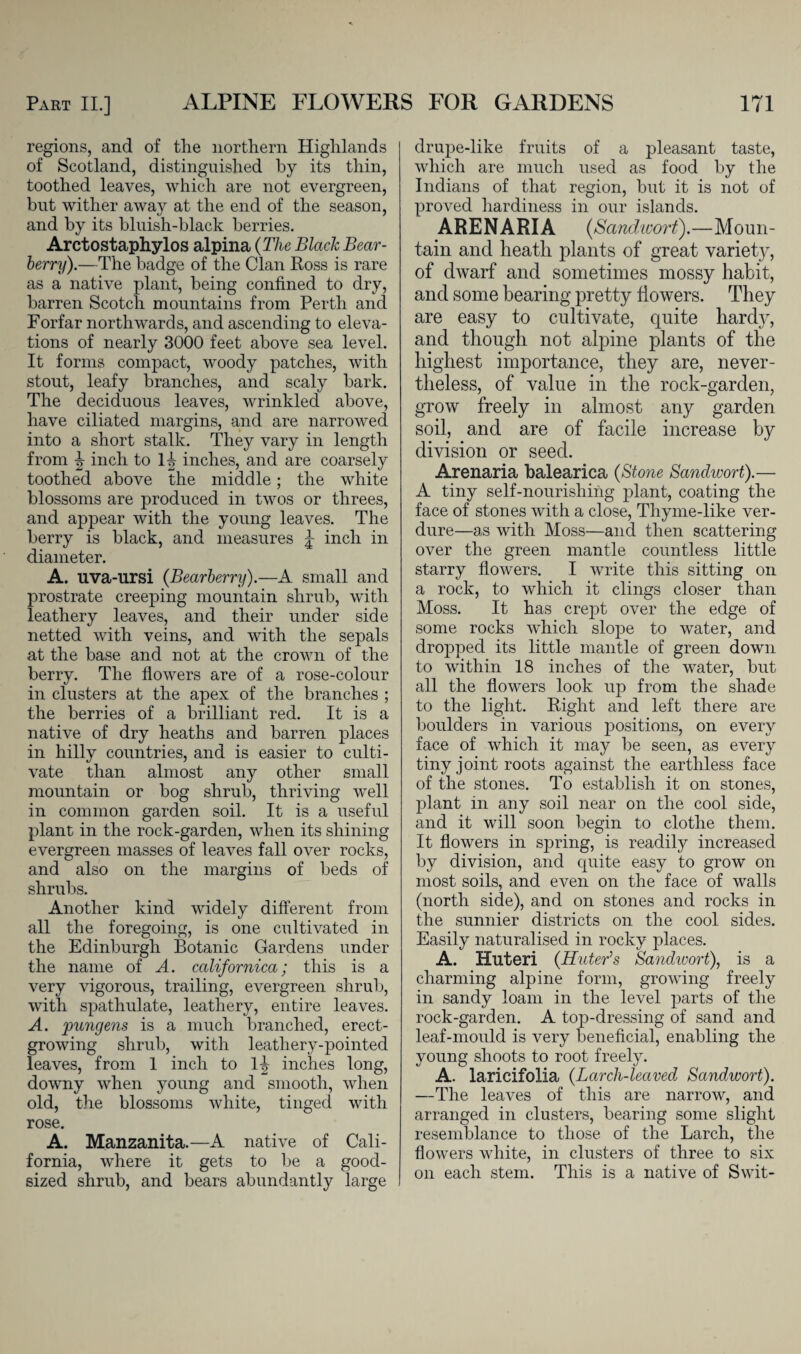 regions, and of the northern Highlands of Scotland, distinguished by its thin, toothed leaves, which are not evergreen, but wither away at the end of the season, and by its bluish-black berries. Arctostaphylos alpina {The Black Bear- berry).—The badge of the Clan Ross is rare as a native plant, being confined to dry, barren Scotch mountains from Perth and Forfar northwards, and ascending to eleva¬ tions of nearly 3000 feet above sea level. It forms compact, woody patches, with stout, leafy branches, and scaly bark. The deciduous leaves, wrinkled above, have ciliated margins, and are narrowed into a short stalk. They vary in length from ^ inch to 1^ inches, and are coarsely toothed above the middle; the white blossoms are produced in twos or threes, and appear with the young leaves. The berry is black, and measures j inch in diameter. A. uva-ursi (Bearberry).—A small and prostrate creeping mountain shrub, with leathery leaves, and their under side netted with veins, and with the sepals at the base and not at the crown of the berry. The flowers are of a rose-colour in clusters at the apex of the branches ; the berries of a brilliant red. It is a native of dry heaths and barren places in hilly countries, and is easier to culti¬ vate than almost any other small mountain or bog shrub, thriving well in common garden soil. It is a useful plant in the rock-garden, when its shining evergreen masses of leaves fall over rocks, and also on the margins of beds of shrubs. Another kind widely different from all the foregoing, is one cultivated in the Edinburgh Botanic Gardens under the name of A. californica; this is a very vigorous, trailing, evergreen shrub, with spathulate, leathery, entire leaves. A. pungens is a much branched, erect- growing shrub, with leathery-pointed leaves, from 1 inch to 1^ inches long, downy when young and smooth, when old, the blossoms white, tinged with rose. A. Manzanita.—A native of Cali¬ fornia, where it gets to be a good- sized shrub, and bears abundantly large drupe-like fruits of a pleasant taste, which are much used as food by the Indians of that region, but it is not of proved hardiness in our islands. ARENARIA {Sandwort).—Moun¬ tain and heath plants of great variety, of dwarf and sometimes mossy habit, and some bearing pretty flowers. They are easy to cultivate, quite hardy, and though not alpine plants of the highest importance, they are, never¬ theless, of value in the rock-garden, grow freely in almost any garden soil, and are of facile increase by division or seed. Arenaria balearica (Stojie Sandwort).— A tiny self-nourishing plant, coating the face of stones with a close, Thyme-like ver¬ dure—as with Moss—and then scattering over the green mantle countless little starry flowers. I write this sitting on a rock, to which it clings closer than Moss. It has crept over the edge of some rocks which slope to water, and dropped its little mantle of green down to within 18 inches of the water, but all the flowers look up from the shade to the light. Right and left there are boulders in various positions, on every face of which it may be seen, as every tiny joint roots against the earthless face of the stones. To establish it on stones, plant in any soil near on the cool side, and it will soon begin to clothe them. It flowers in spring, is readily increased by division, and quite easy to grow on most soils, and even on the face of walls (north side), and on stones and rocks in the sunnier districts on the cool sides. Easily naturalised in rocky places. A. Huteri (Huter’s Sandivort), is a charming alpine form, growing freely in sandy loam in the level parts of the rock-garden. A top-dressing of sand and leaf-mould is very beneficial, enabling the young shoots to root freely. A. laricifolia {Larch-leaved Sandwort). —The leaves of this are narrow, and arranged in clusters, bearing some slight resemblance to those of the Larch, the flowers white, in clusters of three to six on each stem. This is a native of Swit-