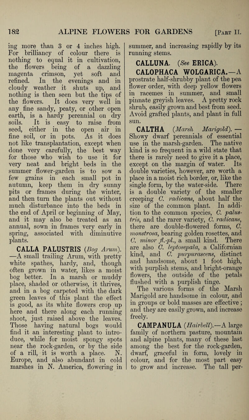 ing more than 3 or 4 inches high. For brilliancy of colour there is nothing to equal it in cultivation, the flowers being of a dazzling magenta crimson, yet soft and refined. In the evenings and in cloudy weather it shuts up, and nothing is then seen but the tips of the flowers. It does very well in any fine sandy, peaty, or other open earth, is a hardy perennial on dry soils. It is easy to raise from seed, either in the open air in fine soil, or in pots. As it does not like transplantation, except when done very carefully, the best way for those who wish to use it for very neat and bright beds in the summer flower-garden is to sow a few grains in each small pot in autumn, keep them in dry sunny pits or frames during the winter, and then turn the plants out without much disturbance into the beds in the end of April or beginning of May, and it may also be treated as an annual, sown in frames very early in spring, associated with diminutive plants. CALLA PALUSTRIS (Bog Arum). —A small trailing Arum, with pretty white spathes, hardy, and, though often grown in water, likes a moist bog better. In a marsh or muddy place, shaded or otherwise, it thrives, and in a bog carpeted with the dark green leaves of this plant the effect is good, as its white flowers crop up here and there along each running shoot, just raised above the leaves. Those having natural bogs would find it an interesting plant to intro¬ duce, while for moist spongy spots near the rock-garden, or by the side of a rill, it is worth a place. N. Europe, and also abundant in cold marshes in N. America, flowering in summer, and increasing rapidly by its running stems. CALLUNA. (See ERICA). CALOPHACA WOLGARICA.—A prostrate half-shrubby plant of the pea flower order, with deep yellow flowers in racemes in summer, and small pinnate greyish leaves. A pretty rock shrub, easily grown and best from seed. Avoid grafted plants, and plant in full sun. CALTHA (.Marsh Marigold). — Showy dwarf perennials of essential use in the marsh-garden. The native kind is so frequent in a wild state that there is rarely need to give it a place, except on the margin of water. Its double varieties, however, are worth a place in a moist rich border, or, like the single form, by the water-side. There is a double variety of the smaller creeping C. radicans, about half the size of the common plant. In addi¬ tion to the common species, C. palus- tris, and the rarer variety, G. radicans, there are double-flowered forms, C. monstrosa, bearing golden rosettes, and C. minor fl.-pl., a small kind. There are also C. leptosepala, a Californian kind, and C. purpurascens, distinct and handsome, about 1 foot high, with purplish stems, and bright-orange flowers, the outside of the petals flushed with a purplish tinge. The various forms of the Marsh Marigold are handsome in colour, and in groups or bold masses are effective ; and they are easily grown, and increase freely. CAMPANULA (Hairbell).— A large family of northern pasture, mountain and alpine plants, many of these last among the best for the rock-garden, dwarf, graceful in form, lovely in colour, and for the most part easy to grow and increase. The tall per-