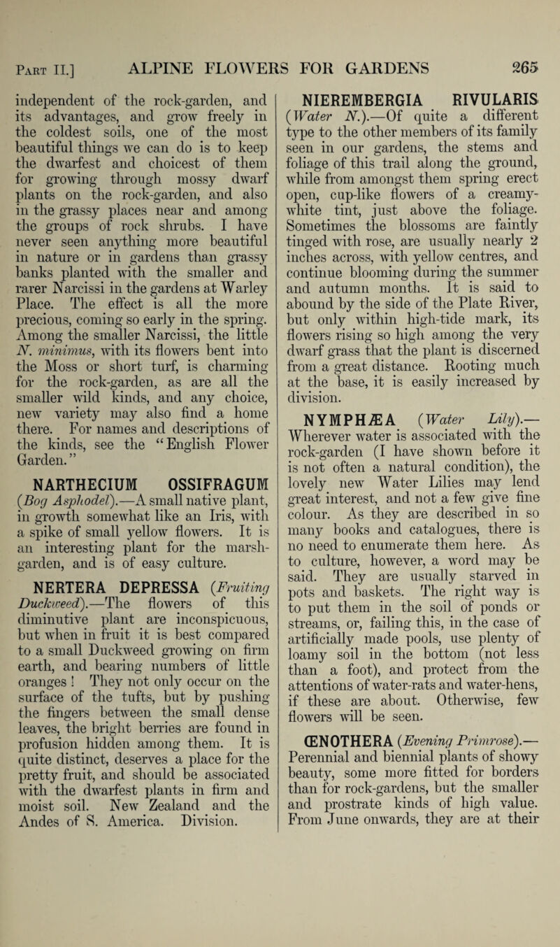 independent of the rock-garden, and its advantages, and grow freely in the coldest soils, one of the most beautiful things we can do is to keep the dwarfest and choicest of them for growing through mossy dwarf plants on the rock-garden, and also in the grassy places near and among the groups of rock shrubs. I have never seen anything more beautiful in nature or in gardens than grassy banks planted with the smaller and rarer Narcissi in the gardens at Warley Place. The effect is all the more precious, coming so early in the spring. Among the smaller Narcissi, the little N. minimus, with its flowers bent into the Moss or short turf, is charming for the rock-garden, as are all the smaller wild kinds, and any choice, new variety may also find a home there. For names and descriptions of the kinds, see the “English Flower Garden. ” NARTHECIUM OSSIFRAGUM (Bog Asphodel).—A small native plant, in growth somewhat like an Iris, with a spike of small yellow flowers. It is an interesting plant for the marsh- garden, and is of easy culture. NERTERA DEPRESSA (.Fruiting Duckweed).—The flowers of this diminutive plant are inconspicuous, but when in fruit it is best compared to a small Duckweed growing on firm earth, and bearing numbers of little oranges ! They not only occur on the surface of the tufts, but by pushing the fingers between the small dense leaves, the bright berries are found in profusion hidden among them. It is quite distinct, deserves a place for the pretty fruit, and should be associated with the dwarfest plants in firm and moist soil. New Zealand and the Andes of S. America. Division. NIEREMBERGIA RIVULARIS (Water N.).—Of quite a different type to the other members of its family seen in our gardens, the stems and foliage of this trail along the ground, while from amongst them spring erect open, cup-like flowers of a creamy- white tint, just above the foliage. Sometimes the blossoms are faintly tinged with rose, are usually nearly 2 inches across, with yellow centres, and continue blooming during the summer and autumn months. It is said to abound by the side of the Plate River, but only within high-tide mark, its flowers rising so high among the very dwarf grass that the plant is discerned from a great distance. Rooting much at the base, it is easily increased by division. NYMPHiEA (Water Lily).— Wherever water is associated with the rock-garden (I have shown before it is not often a natural condition), the lovely new Water Lilies may lend great interest, and not a few give fine colour. As they are described in so many books and catalogues, there is no need to enumerate them here. As to culture, however, a word may be said. They are usually starved in pots and baskets. The right way is to put them in the soil of ponds or streams, or, failing this, in the case of artificially made pools, use plenty of loamy soil in the bottom (not less than a foot), and protect from the attentions of water-rats and water-hens, if these are about. Otherwise, few flowers will be seen. CENOTHERA (Evening Primrose).— Perennial and biennial plants of showy beauty, some more fitted for borders than for rock-gardens, but the smaller and prostrate kinds of high value. From June onwards, they are at their
