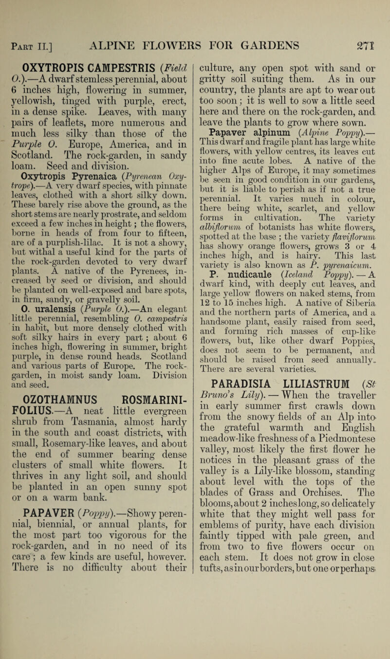 OXYTROPIS CAMPESTRIS {Field 0.).—A dwarf stemless perennial, about 6 inches high, flowering in summer, yellowish, tinged with purple, erect, in a dense spike. Leaves, with many pairs of leaflets, more numerous and much less silky than those of the Purple 0. Europe, America, and in Scotland. The rock-garden, in sandy loam. Seed and division. Oxytropis Pyrenaica {Pyrenean Oxy- trope).—A very dwarf species, with pinnate leaves, clothed with a short silky down. These barely rise above the ground, as the short steins are nearly prostrate, and seldom exceed a few inches in height; the flowers, borne in heads of from four to fifteen, are of a purplish-lilac. It is not a showy, but withal a useful kind for the parts of the rock-garden devoted to very dwarf plants. A native of the Pyrenees, in¬ creased by seed or division, and should be planted on well-exposed and bare spots, in firm, sandy, or gravelly soil. 0. uralensis {Purple 0.).—An elegant little perennial, resembling 0. campestris in habit, but more densely clothed with soft silky hairs in every part ; about 6 inches high, flowering in summer, bright purple, in dense round heads. Scotland and various parts of Europe. The rock- garden, in moist sandy loam. Division and seed. OZOTHAMNUS ROSMARINI- FOLIUS.—A neat little evergreen shrub from Tasmania, almost hardy in the south and coast districts, with small, Rosemary-like leaves, and about the end of summer bearing dense clusters of small white flowers. It thrives in any light soil, and should be planted in an open sunny spot or on a warm bank. PAP AVER {Poppy).—Showy peren¬ nial, biennial, or annual plants, for the most part too vigorous for the rock-garden, and in no need of its care; a few kinds are useful, however. There is no difficulty about their culture, any open spot with sand or gritty soil suiting them. As in our country, the plants are apt to wear out too soon; it is well to sow a little seed here and there on the rock-garden, and leave the plants to grow where sown. Papaver alpinum (A Ipine Poppy).— This dwarf and fragile plant has large white flowers, with yellow centres, its leaves cut into fine acute lobes. A native of the higher Alps of Europe, it may sometimes* be seen in good condition in our gardens, but it is liable to perish as if not a true perennial. It varies much in colour, there being white, scarlet, and yellow forms in cultivation. The variety albiflorum of botanists has white flowers,, spotted at the base ; the variety flavijlorum has showy orange flowers, grows 3 or 4 inches high, and is hairy. This last variety is also known as P. pyrenaicum. P. nudicaule (Iceland Poppy). — A dwarf kind, with deeply cut leaves, and large yellow flowers on naked stems, from 12 to 15 inches high. A native of Siberia and the northern parts of America, and a handsome plant, easily raised from seed, and forming rich masses of cup-like flowers, but, like other dwarf Poppies, does not seem to be permanent, and should be raised from seed annually- There are several varieties. PARADISIA LILIASTRUM {St Bruno’s Lily). — When the traveller in early summer first crawls down from the snowy fields of an Alp into the grateful warmth and English meadow-like freshness of a Piedmontese valley, most likely the first flower he notices in the pleasant grass of the valley is a Lily-like blossom, standing about level with the tops of the blades of Grass and Orchises. The blooms, about 2 inches long, so delicately white that they might well pass for emblems of purity, have each division faintly tipped with pale green, and from two to five flowers occur on each stem. It does not grow in close tufts, as in our borders, but one or perhaps*