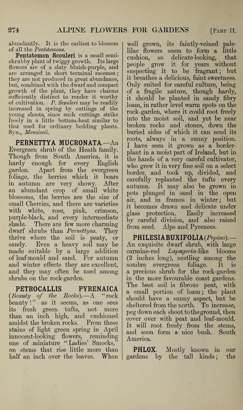 abundantly. It is the earliest to blossom of all the Pentstemons. Pentstemon Scouleri is a small semi- shrubby plant of twiggy growth. Its large flowers are of a slaty bluish-purple, and are arranged in short terminal racemes ; they are not produced in great abundance, but, combined with the dwarf and compact growth of the plant, they have charms sufficiently distinct to render it worthy of cultivation. P. Scouleri may be readily increased in spring by cuttings of the young shoots, since such cuttings strike freely in a little bottom-heat similar to that used for ordinary bedding plants. Syn., Menziesii. PERNETTYA MUCRONATA..—An Evergreen shrub of the Heath family. Though from South America, it is hardy enough for every English garden. Apart from the evergreen foliage, the berries which it bears in autumn are very showy. After an abundant crop of small white blossoms, the berries are the size of small Cherries, and there are varieties with white, rose, pink, crimson, purple-black, and every intermediate shade. There are few more charming dwarf shrubs than Pernettyas. They thrive where the soil is peaty, or sandy. Even a heavy soil may be made suitable by a large addition of leaf-mould and sand. For autumn and winter effects they are excellent, and they may often be used among shrubs on the rock-garden. PETROCALLIS PYRENAICA (.Beauty of the Rocks).—A “rock beauty! ” as it seems, as one sees its fresh green tufts, not more than an inch high, and cushioned amidst the broken rocks. From these stains of light green spring in April innocent-looking flowers, reminding one of miniature “Ladies’ Smocks,” on stems that rise little more than half an inch over the leaves. When well grown, its faintly-veined pale- lilac flowers seem to form a little cushion, so delicate-looking, that people grow it for years without suspecting it to be fragrant; but it breathes a delicious, faint sweetness. Only suited for careful culture, being of a fragile nature, though hardy, it should be planted in sandy flbry loam, in rather level warm spots on the rock-garden, where it could root freely into the moist soil, and yet be near broken rocks and stones, down the buried sides of which it can send its roots, always in a sunny position. I have seen it grown as a border- plant in a moist part of Ireland, but in the hands of a very careful cultivator, who grew it in very fine soil on a select border, and took up, divided, and carefully replanted the tufts every autumn. It may also be grown in pots plunged in sand in the open air, and in frames in winter; but it becomes drawn and delicate under glass protection. Easily increased by careful division, and also raised from seed. Alps and Pyrenees. PHILESIABUXIFOLIA(Fepmo).— An excjuisite dwarf shrub, with large carmine-red Lapageria-Wks blooms (2 inches long), nestling among the sombre evergreen foliage. It is a precious shrub for the rock-garden in the more favourable coast gardens. The best soil is fibrous peat, with a small portion of loam; the plant should have a sunny aspect, but be sheltered from the north. To increase, peg down each shoot to the ground, then cover over with peat and leaf-mould. It will root freely from the stems, and soon form a nice bush. South America. PHLOX. Mostly known in our gardens by the tall kinds; the