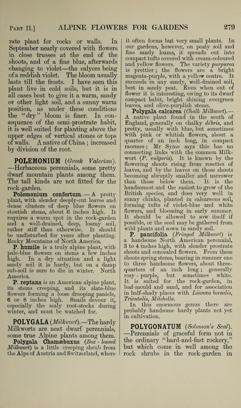 rate plant for rocks or walls. In September nearly covered with flowers in close trusses at the end of the shoots, and of a fine blue, afterwards changing to violet—the calyces being of a reddish violet. The bloom usually lasts till the frosts. I have seen this plant live in cold soils, but it is in all cases best to give it a warm, sandy or other light soil, and a sunny warm position, as under these conditions the “dry” bloom is finer. In con¬ sequence of the semi-prostrate habit, it is well suited for planting above the upper edges of vertical stones or tops of walls. A native of China; increased by division of the root. POLEMONIUM (Gh 'eek Valerian). —Herbaceous perennials, some pretty dwarf mountain plants among them. The tall kinds are not fitted for the rock-garden. Polemonium confertum. — A pretty plant, with slender deeply-cut leaves and dense clusters of deep blue flowers on stoutish stems, about 6 inches high. It requires a warm spot in the rock-garden and a well-drained, deep, loamy soil, rather stiff than otherwise. It should be undisturbed for years after planting. Rocky Mountains of North America. P. humile is a truly alpine plant, with pale-blue flowers on stems a few inches high. In a dry situation and a light sandy soil it is hardy, but on a damp sub-soil is sure to die in winter. North America. P. reptans is an American alpine plant, its stems creeping, and its slate-blue flowers forming a loose drooping panicle, 6 or 8 inches high. Snails devour it, especially the scaly root-stocks during winter, and must be watched for. POLY GAL A (Milkwort).—The hardy Milkworts are neat dwarf perennials, some true Alpine plants among them. Polygala Chamaebuxus (Box - leaved Milkwort) is a little creeping shrub from the Alps of Austria and Switzerland, where it often forms but very small plants. In our gardens, however, on peaty soil and fine sandy loams, it spreads out into compact tufts covered with cream-coloured and yellow flowers. The variety 'purpurea is prettier; the flowers are a bright magenta-purple, with a yellow centre. It succeeds in any sandy, well-drained soil, best in sandy peat. Even when out of flower it is interesting, owing to its dwarf compact habit, bright shining evergreen leaves, and olive-purplish stems. Polygala calcarea (Chalk Milkwort).— A native plant found in the south of England, generally on chalky debris, and pretty, usually with blue, but sometimes with pink or whitish flowers, about a quarter of an inch long, in compact racemes; Mr Syme says this has no connecting links with the common Milk¬ wort (.P. vulgaris). It is known by the flowering shoots rising from rosettes of leaves, and by the leaves on those shoots becoming abruptly smaller and narrower than those below them. It is the handsomest and the easiest to grow of the British species, and does very well in sunny chinks, planted in calcareous soil, forming tufts of violet-blue and white flowers, and blooming in early summer. It should be allowed to sow itself if possible, or the seed may be gathered from wild plants and sown in sandy soil. P. paucifolia (Fringed Milkwort) is a handsome North American perennial, 3 to 4 inches high, with slender prostrate shoots and concealed flowers. From these shoots spring stems, bearing in summer one to three handsome flowers, about three- quarters of an inch long ; generally rosy - purple, but sometimes white. It is suited for the rock-garden, in leaf-mould and sand, and for association in half-shady places with Linncea borealis, Trientalis, Mitchella. In this enormous genus there are probably handsome hardy plants not yet in cultivation. POLYGONATUM (Solomoris Seal). —Perennials of graceful form not in the ordinary “hard-and-fast rockery,” but which come in well among the rock shrubs in the rock-garden in