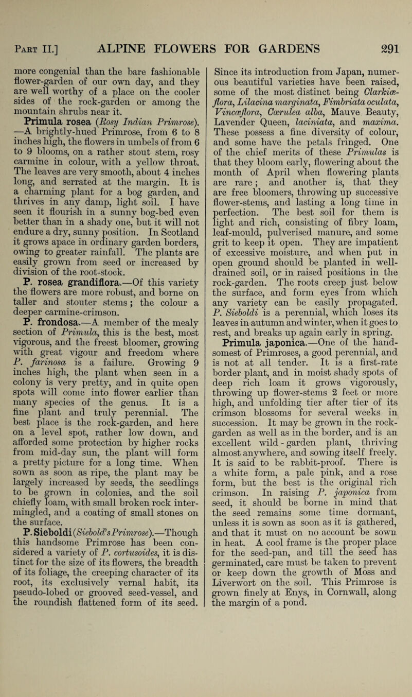 more congenial than the bare fashionable flower-garden of our own day, and they are well worthy of a place on the cooler sides of the rock-garden or among the mountain shrubs near it. Primula rosea (Rosy Indian Primrose). —A brightly-hued Primrose, from 6 to 8 inches high, the flowers in umbels of from 6 to 9 blooms, on a rather stout stem, rosy carmine in colour, with a yellow throat. The leaves are very smooth, about 4 inches long, and serrated at the margin. It is a charming plant for a bog garden, and thrives in any damp, light soil. I have seen it flourish in a sunny bog-bed even better than in a shady one, but it will not endure a dry, sunny position. In Scotland it grows apace in ordinary garden borders, owing to greater rainfall. The plants are easily grown from seed or increased by division of the root-stock. P. rosea grandiflora.—Of this variety the flowers are more robust, and borne on taller and stouter stems; the colour a deeper carmine-crimson. P. frondosa.—A member of the mealy section of Primula, this is the best, most vigorous, and the freest bloomer, growing ■with great vigour and freedom where P. farinosa is a failure. Growing 9 inches high, the plant when seen in a colony is very pretty, and in quite open spots will come into flower earlier than many species of the genus. It is a fine plant and truly perennial. The best place is the rock-garden, and here on a level spot, rather low down, and afforded some protection by higher rocks from mid-day sun, the plant will form a pretty picture for a long time. When sown as soon as ripe, the plant may be largely increased by seeds, the seedlings to be grown in colonies, and the soil chiefly loam, with small broken rock inter¬ mingled, and a coating of small stones on the surface. P. Sieboldi (Siebold’s Primrose).—Though this handsome Primrose has been con¬ sidered a variety of P. cortusoides, it is dis¬ tinct for the size of its flowers, the breadth of its foliage, the creeping character of its root, its exclusively vernal habit, its pseudo-lobed or grooved seed-vessel, and the roundish flattened form of its seed. Since its introduction from Japan, numer¬ ous beautiful varieties have been raised, some of the most distinct being Glarlcioe- jlora, Lilacina marginata, Fimbriata oculata, Vincceflora, Coerulea alba, Mauve Beauty, Lavender Queen, laciniata, and maxima. These possess a fine diversity of colour, and some have the petals fringed. One of the chief merits of these Primulas is that they bloom early, flowering about the month of April when flowering plants are rare; and another is, that they are free bloomers, throwing up successive flower-stems, and lasting a long time in perfection. The best soil for them is light and rich, consisting of fibry loam, leaf-mould, pulverised manure, and some grit to keep it open. They are impatient of excessive moisture, and when put in open ground should be planted in well- drained soil, or in raised positions in the rock-garden. The roots creep just below the surface, and form eyes from which any variety can be easily propagated. P. Sieboldi is a perennial, which loses its leaves in autumn and winter, when it goes to rest, and breaks up again early in spring. Primula japonica.—One of the hand¬ somest of Primroses, a good perennial, and is not at all tender. It is a first-rate border plant, and in moist shady spots of deep rich loam it grows vigorously, throwing up flower-stems 2 feet or more high, and unfolding tier after tier of its crimson blossoms for several weeks in succession. It may be grown in the rock- garden as well as in the border, and is an excellent wild - garden plant, thriving almost anywhere, and sowing itself freely. It is said to be rabbit-proof. There is a white form, a pale pink, and a rose form, but the best is the original rich crimson. In raising P. japonica from seed, it should be borne in mind that the seed remains some time dormant, unless it is sown as soon as it is gathered, and that it must on no account be sown in heat. A cool frame is the proper place for the seed-pan, and till the seed has germinated, care must be taken to prevent or keep down the growth of Moss and Liverwort on the soil. This Primrose is grown finely at Enys, in Cornwall, along the margin of a pond.