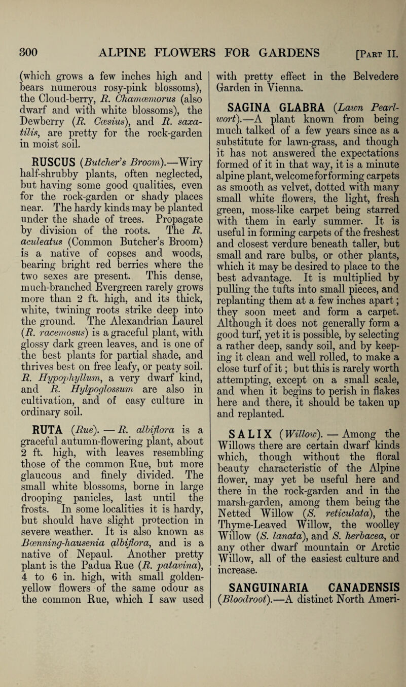 (which grows a few inches high and bears numerous rosy-pink blossoms), the Cloud-berry, R. Ghamcemorus (also dwarf and with white blossoms), the Dewberry (R. Ccesius), and R. saxa- tilis, are pretty for the rock-garden in moist soil. RUSCUS (Butcher's Broom).—Wiry half-shrubby plants, often neglected, but having some good qualities, even for the rock-garden or shady places near. The hardy kinds may be planted under the shade of trees. Propagate by division of the roots. The R. aculeatus (Common Butcher’s Broom) is a native of copses and woods, bearing bright red berries where the two sexes are present. This dense, much-branched Evergreen rarely grows more than 2 ft. high, and its thick, white, twining roots strike deep into the ground. The Alexandrian Laurel (R. racemosus) is a graceful plant, with glossy dark green leaves, and is one of the best plants for partial shade, and thrives best on free leafy, or peaty soil. R. Hypopliyllum, a very dwarf kind, and R. Hylpoglossum are also in cultivation, and of easy culture in ordinary soil. RUTA (Rue). — R. albiflora is a graceful autumn-flowering plant, about 2 ft. high, with leaves resembling those of the common Rue, but more glaucous and finely divided. The small white blossoms, borne in large drooping panicles, last until the frosts. In some localities it is hardy, but should have slight protection in severe weather. It is also known as Boenning-hausenia glbiflora, and is a native of Nepaul. Another pretty plant is the Padua Rue (R. patavina), 4 to 6 in. high, with small golden- yellow flowers of the same odour as the common Rue, which I saw used with pretty effect in the Belvedere Garden in Vienna. SAGINA GLABRA (Lawn Pearl- ivort).—A plant known from being much talked of a few years since as a substitute for lawn-grass, and though it has not answered the expectations formed of it in that way, it is a minute alpine plant, welcome for forming carpets as smooth as velvet, dotted with many small white flowers, the light, fresh green, moss-like carpet being starred with them in early summer. It is useful in forming carpets of the freshest and closest verdure beneath taller, but small and rare bulbs, or other plants, which it may be desired to place to the best advantage. It is multiplied by pulling the tufts into small pieces, and replanting them at a few inches apart; they soon meet and form a carpet. Although it does not generally form a good turf, yet it is possible, by selecting a rather deep, sandy soil, and by keep¬ ing it clean and well rolled, to make a close turf of it; but this is rarely worth attempting, except on a small scale, and when it begins to perish in flakes here and there, it should be taken up and replanted. S A LIX (Willow). — Among the Willows there are certain dwarf kinds which, though without the floral beauty characteristic of the Alpine flower, may yet be useful here and there in the rock-garden and in the marsh-garden, among them being the Netted Willow (S. reticulata), the Thyme-Leaved Willow, the woolley Willow (S. lanata), and S. herbacea, or any other dwarf mountain or Arctic Willow, all of the easiest culture and increase. SANGUINARIA CANADENSIS (Bloodroot).—A distinct North Ameri-
