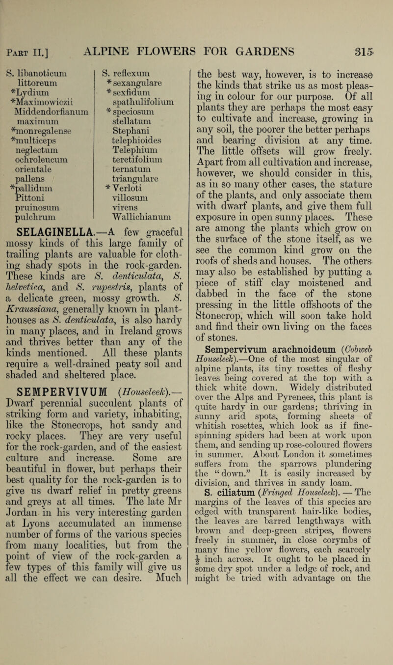 S. libanoticum littoreum *Lydium *Maximowiczii Middendorfianum maximum *monregalense *multiceps neglectum ocnroleucum orientale pallens *pallidum Pittoni pruinosum pulchrum S. reflexum * sexangulare * sexfidum spathulifolium * speciosum stellatum Stephani telephioides Telephium teretifolium ternatum triangulare * Verloti villosum virens Wallichianum SELAGINELLA — A few graceful mossy kinds of this large family of trailing plants are valuable for cloth¬ ing shady spots in the rock-garden. These kinds are S. denticulata, S. helvetica, and S. rwpestris, plants of a delicate green, mossy growth. S. Kraussiana, generally known in plant- houses as S. denticulata, is also hardy in many places, and in Ireland grows and thrives better than any of the kinds mentioned. All these plants require a well-drained peaty soil and shaded and sheltered place. SEMPERVIVUM (Houseleek).— Dwarf perennial succulent plants of striking form and variety, inhabiting, like the Stonecrops, hot sandy and rocky places. They are very useful for the rock-garden, and of the easiest culture and increase. Some are beautiful in flower, but perhaps their best quality for the rock-garden is to give us dwarf relief in pretty greens and greys at all times. The late Mr Jordan in his very interesting garden at Lyons accumulated an immense number of forms of the various species from many localities, but from the point of view of the rock-garden a few types of this family will give us all the effect we can desire. Much the best way, however, is to increase the kinds that strike us as most pleas¬ ing in colour for our purpose. Of all plants they are perhaps the most easy to cultivate and increase, growing in any soil, the poorer the better perhaps and bearing division at any time. The little offsets will grow freely. Apart from all cultivation and increase, however, we should consider in this, as in so many other cases, the stature of the plants, and only associate them with dwarf plants, and give them full exposure in open sunny places. These are among the plants which grow on the surface of the stone itself, as we see the common kind grow on the roofs of sheds and houses. The others may also be established by putting a piece of stiff clay moistened and dabbed in the face of the stone pressing in the little offshoots of the Stonecrop, which will soon take hold and find their own living on the faces of stones. Sempervivum arachnoideum (Cobweb Houseleek).—One of the most singular of alpine plants, its tiny rosettes of fleshy leaves being covered at the top with a thick white down. Widely distributed over the Alps and Pyrenees, this plant is quite hardy in our gardens; thriving in sunny arid spots, forming sheets of whitish rosettes, which look as if fine- spinning spiders had been at work upon them, and sending up rose-coloured flowers in summer. About London it sometimes suffers from the sparrows plundering the “ down.” It is easily increased by division, and thrives in sandy loam. S. ciliatum (.Fringed Houseleek). — The margins of the leaves of this species are edged with transparent hair-like bodies, the leaves are barred lengthways with brown and deep-green stripes, flowers freely in summer, in close corymbs of many fine yellow flowers, each scarcely \ inch across. It ought to be placed in some dry spot under a ledge of rock, and might be tried with advantage on the