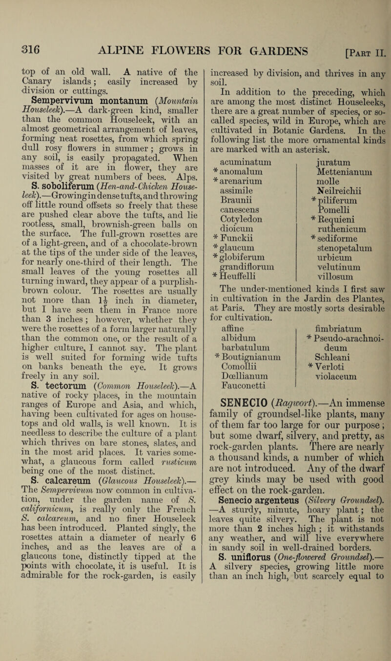 top of an old wall. A native of tlie Canary islands; easily increased by division or cuttings. Sempervivum montanum (Mountain Houseleek).—A dark-green kind, smaller than the common Houseleek, with an almost geometrical arrangement of leaves, forming neat rosettes, from which spring dull rosy flowers in summer ; grows in any soil, is easily propagated. When masses of it are in flower, they are visited by great numbers of bees. Alps. S. soboliferum (Hen-and- Chicken House¬ leek).—Growing in dense tufts, and throwing off little round offsets so freely that these are pushed clear above the tufts, and lie rootless, small, brownish-green balls on the surface. The full-grown rosettes are of a light-green, and of a chocolate-brown at the tips of the under side of the leaves, for nearly one-third of their length. The small leaves of the young rosettes all turning inward, they appear of a purplish- brown colour. The rosettes are usually not more than D inch in diameter, but I have seen them in France more than 3 inches; however, whether they were the rosettes of a form larger naturally than the common one, or the result of a higher culture, I cannot say. The plant is well suited for forming wide tufts on banks beneath the eye. It grows freely in any soil. S. tectorum (Common Houseleek).—A native of rocky places, in the mountain ranges of Europe and Asia, and which, having been cultivated for ages on house¬ tops and old walls, is well known. It is needless to describe the culture of a plant which thrives on bare stones, slates, and in the most arid places. It varies some¬ what, a glaucous form called rusticum being one of the most distinct. S. calcareum (Glaucous Houseleek).— The Semjpervivum now common in cultiva¬ tion, under the garden name of S. calif or nicum, is really only the French S. calcareum, and no finer Houseleek has been introduced. Planted singly, the rosettes attain a diameter of nearly 6 inches, and as the leaves are of a glaucous tone, distinctly tipped at the points with chocolate, it is useful. It is admirable for the rock-garden, is easily [Part II. increased by division, and thrives in any soil. In addition to the preceding, which are among the most distinct Houseleeks, there are a great number of species, or so- called species, wild in Europe, which are cultivated in Botanic Gardens. In the following list the more ornamental kinds are marked with an asterisk. acuminatum * anomalum * arenarium assimile Braunii canescens Cotyledon dioicum * Funckii * glaucum * globiferum grandiflorum * Heuffelli juratum Mettenianum molle Neilreichii * piliferum Pomelli * Requieni ruthenicum * sediforme stenopetalum urbicum velutinum villosum The under-mentioned kinds I first saw in cultivation in the Jardin des Plantes, at Paris. They are mostly sorts desirable for cultivation. affine albidum barbatulum * Boutignianum Comollii Dcellianum Fauconetti fimbriatum * Pseudo-arachnoi- deum Schleani * Yerloti violaceum SENECIO (Ragwort).—An immense family of groundsel-like plants, many of them far too large for our purpose ; but some dwarf, silvery, and pretty, as rock-garden plants. There are nearly a thousand kinds, a number of which are not introduced. Any of the dwarf grey kinds may be used with good effect on the rock-garden. Senecio argenteus (Silvery Groundsel). —A sturdy, minute, hoary plant; the leaves cpiite silvery. The plant is not more than 2 inches high ; it withstands any weather, and will live everywhere in sandy soil in well-drained borders. S. uniflorus (One-flowered Groundsel).— A silvery species, growing little more than an inch high, but scarcely equal to