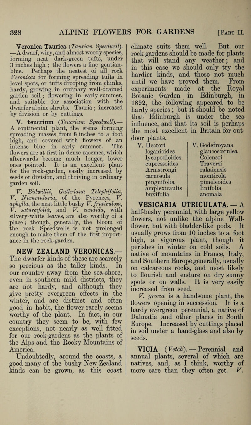 Veronica Taurica (Taurian Speedwell). —A dwarf, wiry, and almost woody species, forming neat dark-green tufts, under 3 inches high ; the flowers a fine gentian- blue. Perhaps the neatest of all rock Veronicas for forming spreading tufts in level spots, or tufts drooping from chinks, hardy, growing in ordinary well-drained garden soil; flowering in early summer, and suitable for association with the dwarfer alpine shrubs. Tauria ; increased by division or by cuttings. V. teucrium (Teucrium Speedwell).— A continental plant, the stems forming spreading masses from 8 inches to a foot high, and covered with flowers of an intense blue in early summer. The flowers are at first in dense racemes, which afterwards become much longer, lower ones pointed. It is an excellent plant for the rock-garden, easily increased by seeds or division, and thriving in ordinary garden soil. V. Bidwillii, Guthriana Telephifolia, V. Nummularia, of the Pyrenees, V. aphylla, the neat little bushy V. fruticulosa, V. satureifolid, and V. Candida, with silvery-white leaves, are also worthy of a place; though, generally, the bloom of the rock Speedwells is not prolonged enough to make them of the first import¬ ance in the rock-garden. NEW ZEALAND VERONICAS.— The dwarfer kinds of these are scarcely so precious as the taller kinds. In our country away from the sea-shore, even in southern mild districts, they are not hardy, and although they give pretty evergreen effects in the winter, and are distinct and often good in habit, the flower rarely seems worthy of the plant. In fact, in our country they seem to be, with few exceptions, not nearly as well fitted for our rock-gardens as the plants of the Alps and the Rocky Mountains of America. Undoubtedly, around the coasts, a good many of the bushy New Zealand kinds can be grown, as this coast climate suits them well. But our rock-gardens should be made for plants that will stand any weather; and in this case we should only try the hardier kinds, and those not much until we have proved them. From experiments made at the Royal Botanic Garden in Edinburgh, in 1892, the following appeared to he hardy species; but it should be noted that Edinburgh is under the sea influence, and that its soil is perhaps the most excellent in Britain for out¬ door plants. V. Hectori loganioides lycopodioides cupressoides Armstrongi carnosula pinguifolia amplexicaulis buxifolia V. Godefroya.na glaucoccerulea Colensoi Traversi rakaiensis monticola pimeleoides linifolia anomala VESICARIA UTRICULATA. — A half-bushy perennial, with large yellow flowers, not unlike the alpine Wall¬ flower, but with bladder-like pods. It usually grows from 10 inches to a foot high, a vigorous plant, though it perishes in winter on cold soils. A native of mountains in France, Italy, and Southern Europe generally, usually on calcareous rocks, and most likely to flourish and endure on dry sunny spots or on walls. It is very easily increased from seed. V. grazed is a handsome plant, the flowers opening in succession. It is a hardy evergreen perennial, a native of Dalmatia and other places in South Europe. Increased by cuttings placed in soil under a hand-glass and also by seeds. VICIA ( Vetch). — Perennial and annual plants, several of which are natives, and, as I think, worthy of more care than they often get. V.