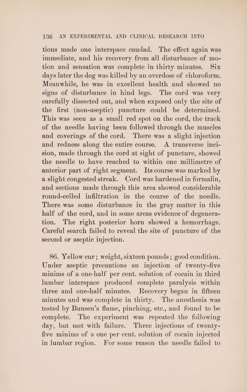 tions made one interspace caudad. The effect again was immediate, and his recovery from all disturbance of mo¬ tion and sensation was complete in thirty minutes. Six days later the dog was killed by an overdose of chloroform. Meanwhile, he was in excellent health and showed no signs of disturbance in hind legs. The cord was very carefully dissected out, and when exposed only the site of the first (non-aseptic) puncture could be determined. This was seen as a small red spot on the cord, the track of the needle having been followed through the muscles and coverings of the cord. There was a slight injection and redness along the entire course. A transverse inci¬ sion, made through the cord at sight of puncture, showed the needle to have reached to within one millimetre of anterior part of right segment. Its course was marked by a slight congested streak. Cord was hardened in formalin, and sections made through this area showed considerable round-celled infiltration in the course of the needle. There was some disturbance in the gray matter in this half of the cord, and in some areas evidence of degenera¬ tion. The right posterior horn showed a hemorrhage. Careful search failed to reveal the site of puncture of the second or aseptic injection. 86. Yellow cur; weight, sixteen pounds; good condition. Under aseptic precautions an injection of twenty-five minims of a one-half per cent, solution of cocain in third lumbar interspace produced complete paralysis within three and one-half minutes. Recovery began in fifteen minutes and was complete in thirty. The anesthesia was tested by Bunsen’s flame, pinching, etc., and found to be complete. The experiment was repeated the following day, but met with failure. Three injections of twenty- five minims of a one per cent, solution of cocain injected in lumbar region. For some reason the needle failed to