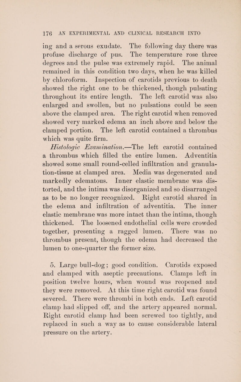 ing and a serous exudate. The following day there was profuse discharge of pus. The temperature rose three degrees and the pulse was extremely rapid. The animal remained in this condition two days, when he was killed by chloroform. Inspection of carotids previous to death showed the right one to be thickened, though pulsating throughout its entire length. The left carotid was also enlarged and swollen, but no pulsations could be seen above the clamped area. The right carotid when removed showed very marked edema an inch above and below the clamped portion. The left carotid contained a thrombus which was quite firm. Histologic Examination.—The left carotid contained a thrombus which filled the entire lumen. Adventitia showed some small round-celled infiltration and granula¬ tion-tissue at clamped area. Media was degenerated and markedly edematous. Inner elastic membrane was dis¬ torted, and the intima was disorganized and so disarranged as to be no longer recognized. Right carotid shared in the edema and infiltration of adventitia. The inner elastic membrane was more intact than the intima, though thickened. The loosened endothelial cells were crowded together, presenting a ragged lumen. There was no thrombus present, though the edema had decreased the lumen to one-quarter the former size. 5. Large bull-dog; good condition. Carotids exposed and clamped with aseptic precautions. Clamps left in position twelve hours, when wound was reopened and they were removed. At this time right carotid was found severed. There were thrombi in both ends. Left carotid clamp had slipped off, and the artery appeared normal. Right carotid clamp had been screwed too tightly, and replaced in such a way as to cause considerable lateral pressure on the artery.