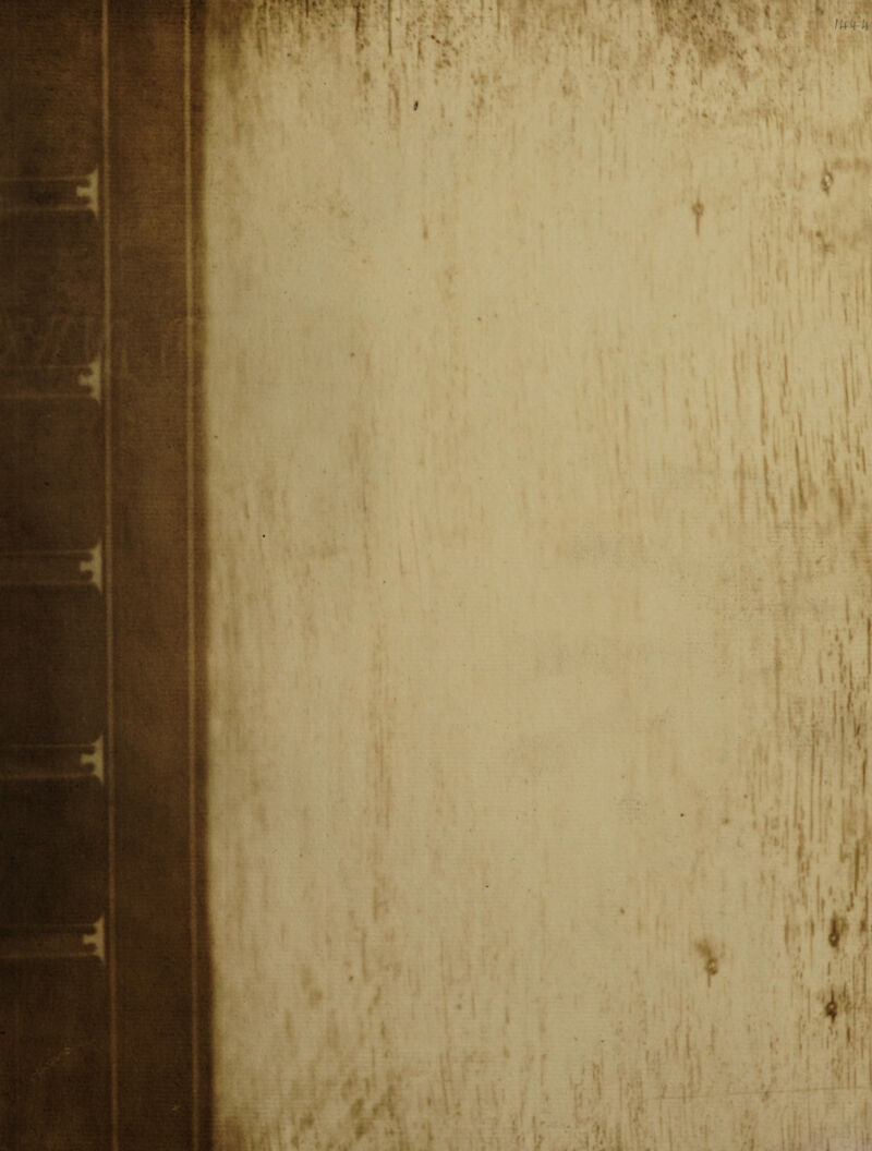 IBM- * ■ * / • r ■--/ > » ■Ft* ■ ■- ■ ,4 . . I ; t h 1f is . V • 4-•■ * i* i * { , *• - • rt V • • 4 ' : ■ ■ ' V -MVi 1 * sWw