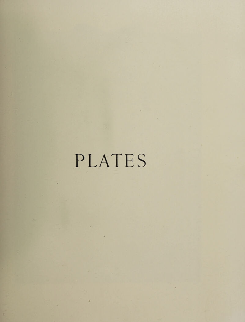 PLATES