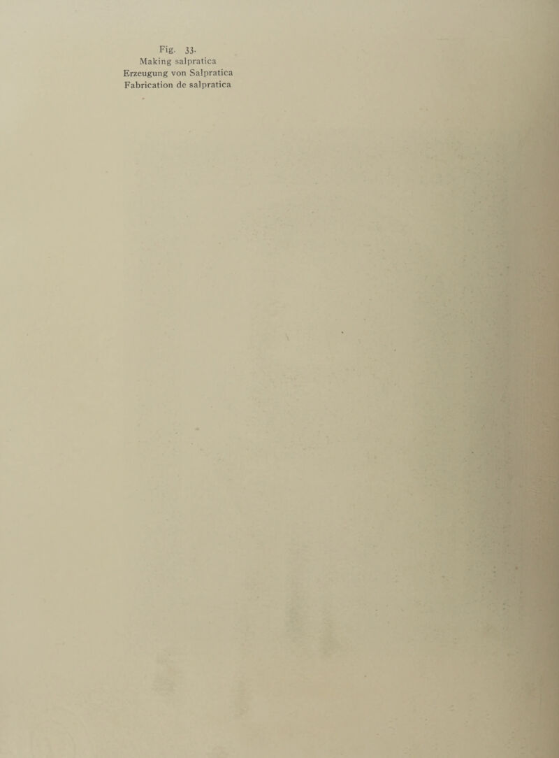 Making salpratica Erzeugung von Salpratica