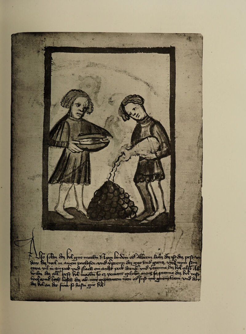 jo jo&* \h£tyit-irutt&n iioSe** $ Ifctv SttU^oPw fVmcm 4xU^#bt rvn^vWvrm <3ti «tTtt?^w^tft*n^ ■Ctnxt'VnfWtrtnv ^ aT Vn aO a. -- S*n&t £fc* <*0P 4vo£*»4r£ft3 SlVuS^v*^ Vtcrrrm< rxonwff 'Vn9 , ... '■ ' .'.r-4 v v - ■'-^ I •-'’■' b^r-