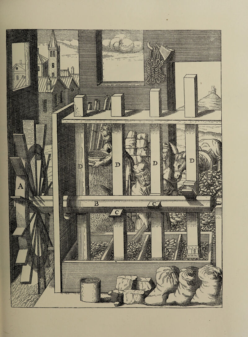 Tj[ mil n trim ii i j m j it; rm/jnj mttjt n; r \ wv.'Vti