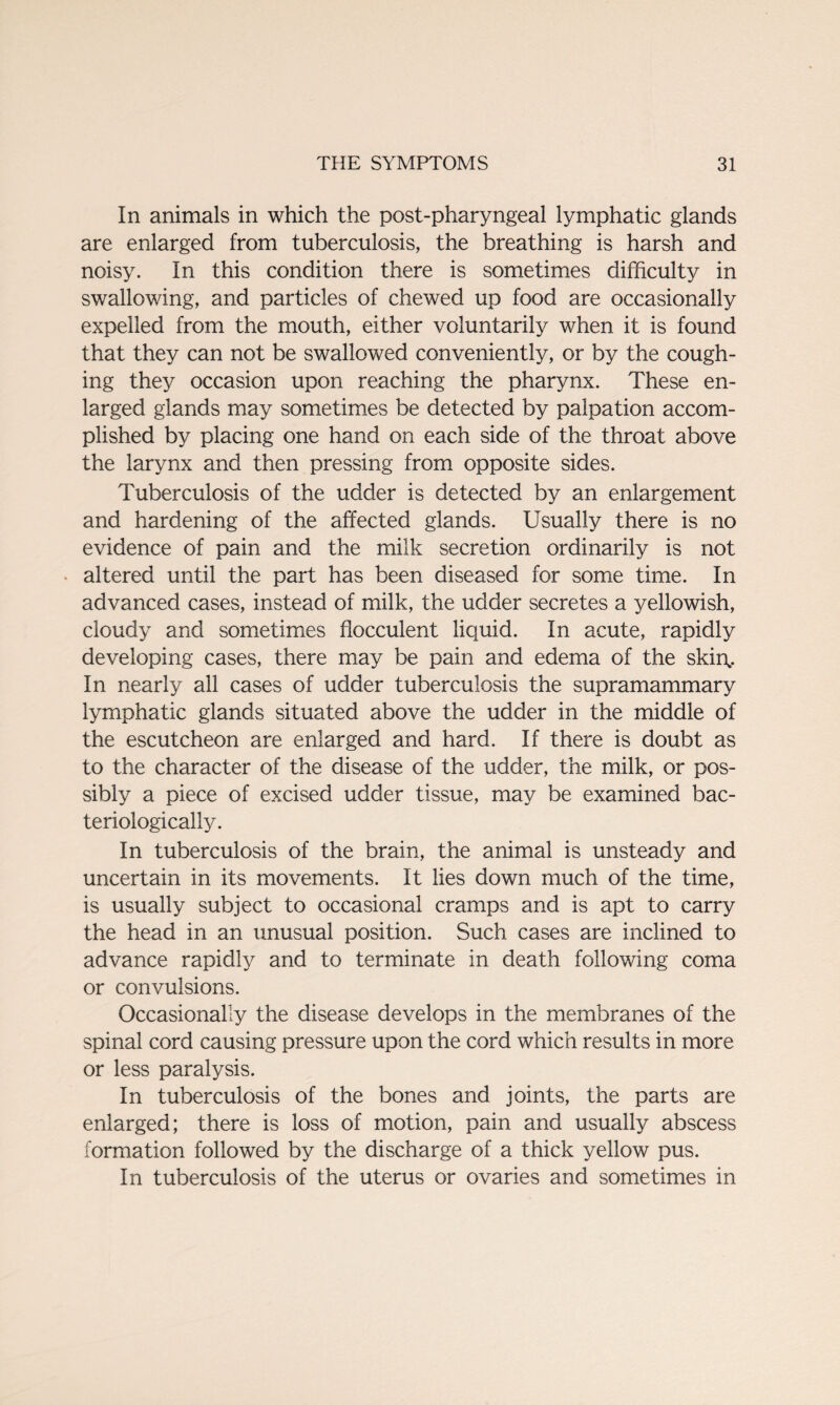 In animals in which the post-pharyngeal lymphatic glands are enlarged from tuberculosis, the breathing is harsh and noisy. In this condition there is sometimes difficulty in swallowing, and particles of chewed up food are occasionally expelled from the mouth, either voluntarily when it is found that they can not be swallowed conveniently, or by the cough¬ ing they occasion upon reaching the pharynx. These en¬ larged glands may sometimes be detected by palpation accom¬ plished by placing one hand on each side of the throat above the larynx and then pressing from opposite sides. Tuberculosis of the udder is detected by an enlargement and hardening of the affected glands. Usually there is no evidence of pain and the milk secretion ordinarily is not altered until the part has been diseased for some time. In advanced cases, instead of milk, the udder secretes a yellowish, cloudy and sometimes flocculent liquid. In acute, rapidly developing cases, there may be pain and edema of the skin. In nearly all cases of udder tuberculosis the supramammary lymphatic glands situated above the udder in the middle of the escutcheon are enlarged and hard. If there is doubt as to the character of the disease of the udder, the milk, or pos¬ sibly a piece of excised udder tissue, may be examined bac- teriologically. In tuberculosis of the brain, the animal is unsteady and uncertain in its movements. It lies down much of the time, is usually subject to occasional cramps and is apt to carry the head in an unusual position. Such cases are inclined to advance rapidly and to terminate in death following coma or convulsions. Occasionally the disease develops in the membranes of the spinal cord causing pressure upon the cord which results in more or less paralysis. In tuberculosis of the bones and joints, the parts are enlarged; there is loss of motion, pain and usually abscess formation followed by the discharge of a thick yellow pus. In tuberculosis of the uterus or ovaries and sometimes in
