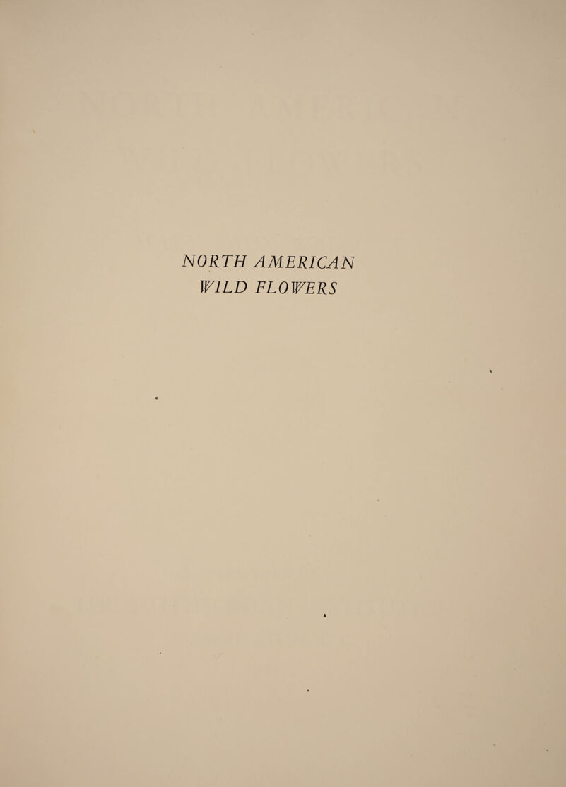 NORTH AMERICAN WILD FLOWERS