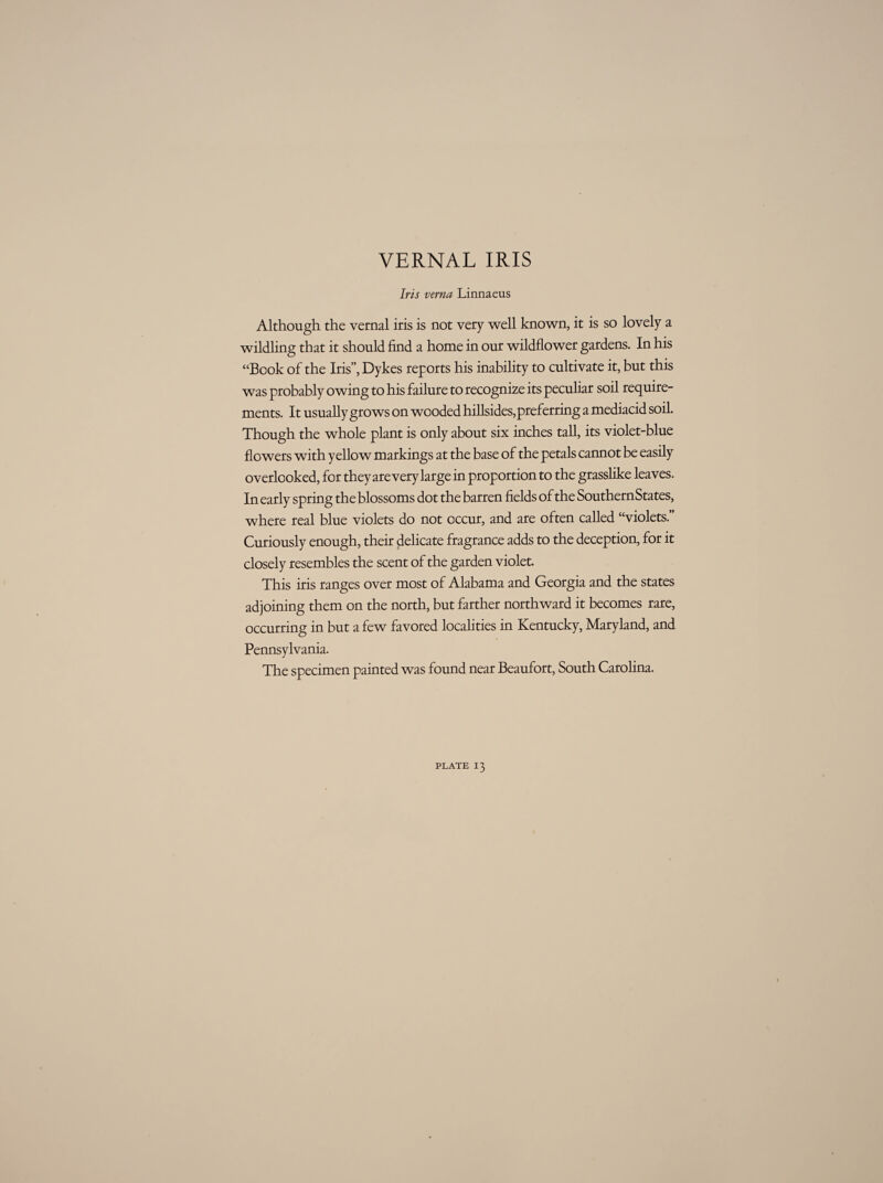 VERNAL IRIS Iris verna Linnaeus Although the vernal iris is not very well known, it is so lovely a wildling that it should find a home in our wildflower gardens. In his “Book of the Iris”, Dykes reports his inability to cultivate it, but this was probably owing to his failure to recognize its peculiar soil require¬ ments. It usually grows on wooded hillsides, preferring a mediacid soil. Though the whole plant is only about six inches tall, its violet-blue flowers with yellow markings at the base of the petals cannot be easily overlooked, for they are very large in proportion to the grasslike leaves. In early spring the blossoms dot the barren fields of the SouthernStates, where real blue violets do not occur, and are often called “violets.” Curiously enough, their delicate fragrance adds to the deception, for it closely resembles the scent of the garden violet. This iris ranges over most of Alabama and Georgia and the states adjoining them on the north, but farther northward it becomes rare, occurring in but a few favored localities in Kentucky, Maryland, and Pennsylvania. The specimen painted was found near Beaufort, South Carolina.