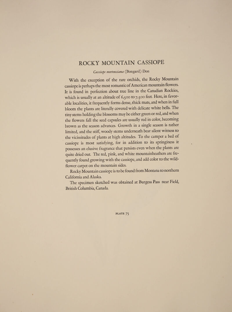 ROCKY MOUNTAIN CASSIOPE Cassiope mertensiana (Bongard) Don With the exception of the rare orchids, the Rocky Mountain cassiope is perhaps the most romantic of American mountain flowers. It is found in perfection about tree line in the Canadian Rockies, which is usually at an altitude of 6,500 to 7,500 feet. Here, in favor¬ able localities, it frequently forms dense, thick mats, and when in full bloom the plants are literally covered with delicate white bells. The tiny stems holding the blossoms may be either green or red, and when the flowers fall the seed capsules are usually red in color, becoming brown as the season advances. Growth in a single season is rather limited, and the stiff, woody stems underneath bear silent witness to the vicissitudes of plants at high altitudes. To the camper a bed of cassiope is most satisfying, for in addition to its springiness it possesses an elusive fragrance that persists even when the plants are quite dried out. The red, pink, and white mountainheathers are fre¬ quently found growing with the cassiope, and add color to the wild- flower carpet on the mountain sides. Rocky Mountain cassiope is to be found from Montana to northern California and Alaska. The specimen sketched was obtained at Burgess Pass near Field, British Columbia, Canada.