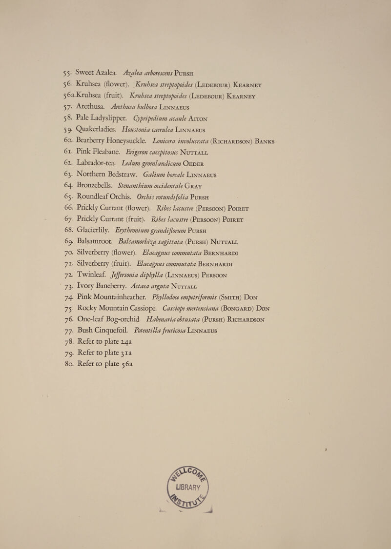 5 5 • Sweet Azalea. Azalea arborescens Pursh 56. Kruhsea (flower). Kruhsea streptopoides (Ledebour) Kearney 5 6 a. Kruhsea (fruit). Kruhsea streptopoides (Ledebour) Kearney 57. Arethusa. Arethusa bulbosa Linnaeus 58. Pale Ladyslipper. Cypripedium acaule Aiton 5 9* Quakerladies. Houstonia caerulea Linnaeus 60. Bearberry Honeysuckle. Lonicera involucrata (Richardson) Banks 61. Pink Fleabane. Erigeron caespitosus Nuttall 62.. Labrador-tea. Ledum groenlandicum Oeder 63. Northern Bedstraw. Galium bore ale Linnaeus 64. Bronzebells. Stenanthium occidental Gray 65. Roundleaf Orchis. Orchis rotundifolia Pursh 66. Prickly Currant (flower). Kibes lacustre (Persoon) Poiret 67 Prickly Currant (fruit). Kibes lacustre (Persoon) Poiret 68. Glacierlily. Erythronium grandiflomm Pursh 69. Balsamroot. Balsamorhi^a sagittata (Pursh) Nuttall 70. Silverberry (flower). Elaeagnus commutata Bernhardi 71. Silverberry (fruit). Elaeagnus commutata Bernhardi 72.. Twinleaf. Jejfersonia diphylla (Linnaeus) Persoon 73. Ivory Baneberry. Actaea arguta Nuttall 74. Pink Mountainheather. Phyllodoce empetrijormis (Smith) Don 75. Rocky Mountain Cassiope. Cassiope mertensiana (Bongard) Don 76. One-leaf Bog-orchid. Habenaria obtusata (Pursh) Richardson 77. Bush Cinquefoil. Potentilla fruticosa Linnaeus 78. Refer to plate 2.4a 79. Refer to plate 31a 80. Refer to plate 56a LIBRARY __