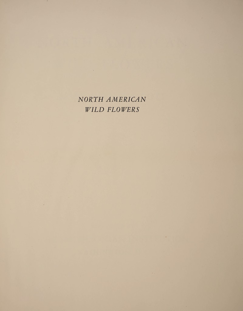 NORTH AMERICAN WILD FLOWERS