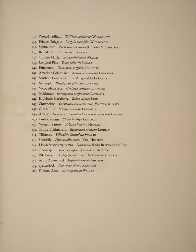 134- Painted Trillium. Trillium undulatum Willdenow 135. Fringed Polygala. Toly gala paucifolia Willdenow 136. Squirrelcorn. Bikukulla canadensis (Goldie) Millspaugh 137. Red Maple. Acer rubrum Linnaeus 138. Carolina Maple. Acer carolinianum Walter 139. Longleaf Pine. Pinus palustris Miller 140. Fringetree. Chionanthus virginica Linnaeus 141. American Columbine. Aquilegia canadensis Linnaeus 142- Southern Coast Violet. Viola septemloba Le Conte 143. Mayapple. Podophyllum pelt atum Linnaeus 144. Wood Merrybells. Uvularia perfoliata Linnaeus 145. Goldenstar. Chrysogonum virginianum Linnaeus 146. Highbush Blackberry. Rubus argutus Link 147. Crowpoison. Chrosperma muscaetoxicum (Walter) Kuntze 148. Canada Lily. Lilium canadense Linnaeus 149. American Wistaria. Kraunhia frutescens (Linnaeus) Greene 150. Curly Clematis. Clematis crispa Linnaeus 151. Western Yarrow. Achillea lanulosa Nutt all 152.. Tampa Epidendrum. Epidendrum tampense Lindley 153. Tillandsia. Tillandsia fasciculata Swartz 154. Spiderlily. Hymenocallis rot at a (Ker) Herbert 155. Lloyds Strawberry-cactus. Echinocereus lloydii Britton and Rose 156. Ghostpipe. Thalesia uni flora (Linnaeus) Britton 137. Pale Pinesap. Hypopitys americana (De Candolle) Small 138. Arum Arrowhead. Sagittaria cuneata Sheldon 139. Spatterdock. Nymphaea advena Solander 160. Pineland Aster. Aster squarrosus'WxLTER
