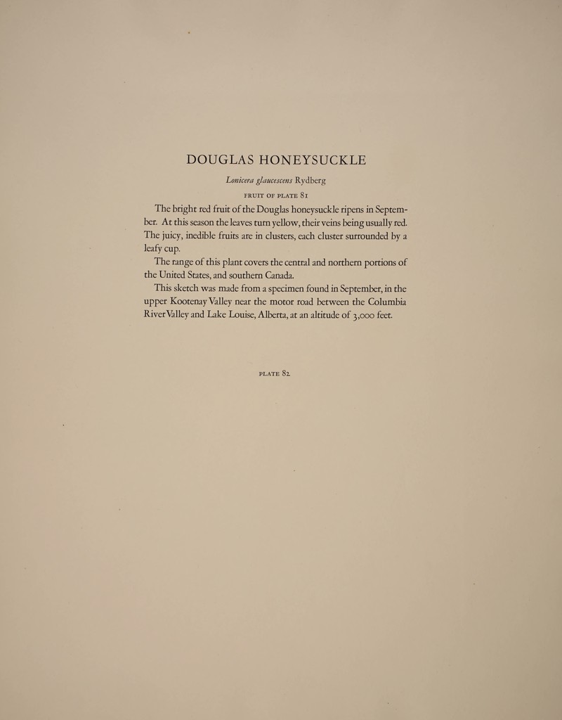 Lonicera glaucescens Rydberg FRUIT OF PLATE 8f The bright red fruit of the Douglas honeysuckle ripens in Septem¬ ber. At this season the leaves turn yellow, their veins being usually red. The juicy, inedible fruits are in clusters, each cluster surrounded by a leafy cup. The range of this plant covers the central and northern portions of the United States, and southern Canada. This sketch was made from a specimen found in September, in the upper Kootenay Valley near the motor road between the Columbia River Valley and Lake Louise, Alberta, at an altitude of 3,000 feet.