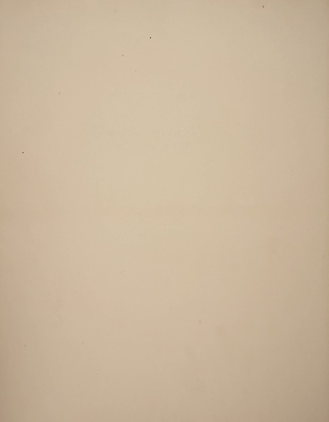 digitised image 3