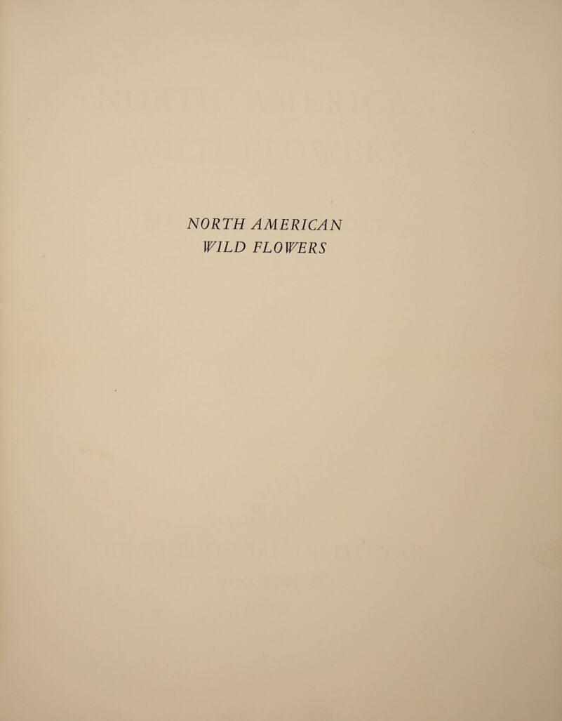 NORTH AMERICAN WILD FLOWERS