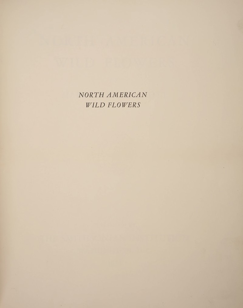 NORTH AMERICAN WILD FLOWERS