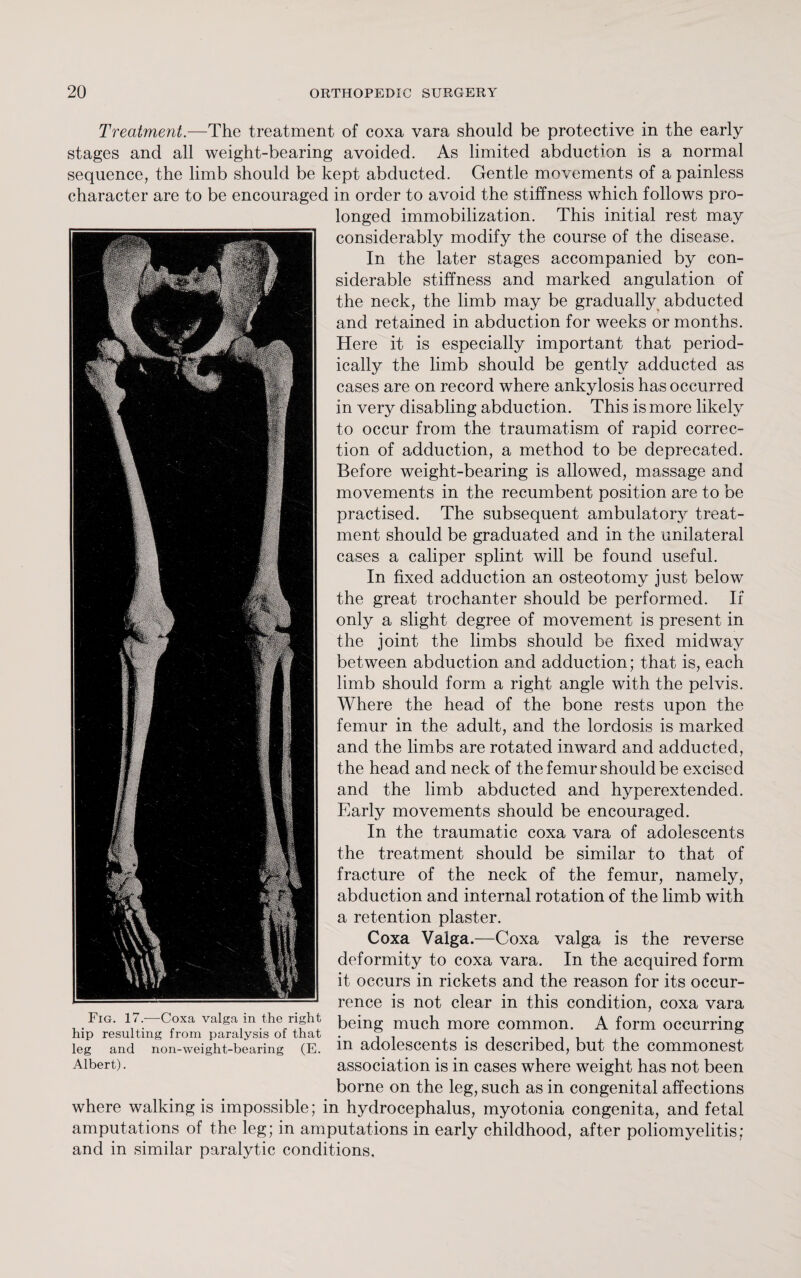 Treatment.—The treatment of coxa vara should be protective in the early stages and all weight-bearing avoided. As limited abduction is a normal sequence, the limb should be kept abducted. Gentle movements of a painless character are to be encouraged in order to avoid the stiffness which follows pro¬ longed immobilization. This initial rest may considerably modify the course of the disease. In the later stages accompanied by con¬ siderable stiffness and marked angulation of the neck, the limb may be gradually abducted and retained in abduction for weeks or months. Here it is especially important that period¬ ically the limb should be gently adducted as cases are on record where ankylosis has occurred in very disabling abduction. This is more likely to occur from the traumatism of rapid correc¬ tion of adduction, a method to be deprecated. Before weight-bearing is allowed, massage and movements in the recumbent position are to be practised. The subsequent ambulatory treat¬ ment should be graduated and in the unilateral cases a caliper splint will be found useful. In fixed adduction an osteotomy just below the great trochanter should be performed. If only a slight degree of movement is present in the joint the limbs should be fixed midway between abduction and adduction; that is, each limb should form a right angle with the pelvis. Where the head of the bone rests upon the femur in the adult, and the lordosis is marked and the limbs are rotated inward and adducted, the head and neck of the femur should be excised and the limb abducted and hyperextended. Early movements should be encouraged. In the traumatic coxa vara of adolescents the treatment should be similar to that of fracture of the neck of the femur, namely, abduction and internal rotation of the limb with a retention plaster. Coxa Valga.—Coxa valga is the reverse deformity to coxa vara. In the acquired form it occurs in rickets and the reason for its occur¬ rence is not clear in this condition, coxa vara being much more common. A form occurring in adolescents is described, but the commonest association is in cases where weight has not been borne on the leg, such as in congenital affections where walking is impossible; in hydrocephalus, myotonia congenita, and fetal amputations of the leg; in amputations in early childhood, after poliomyelitis; and in similar paralytic conditions. Fig. 17.—Coxa valga in the right hip resulting from paralysis of that leg and non-weight-bearing (E. Albert).