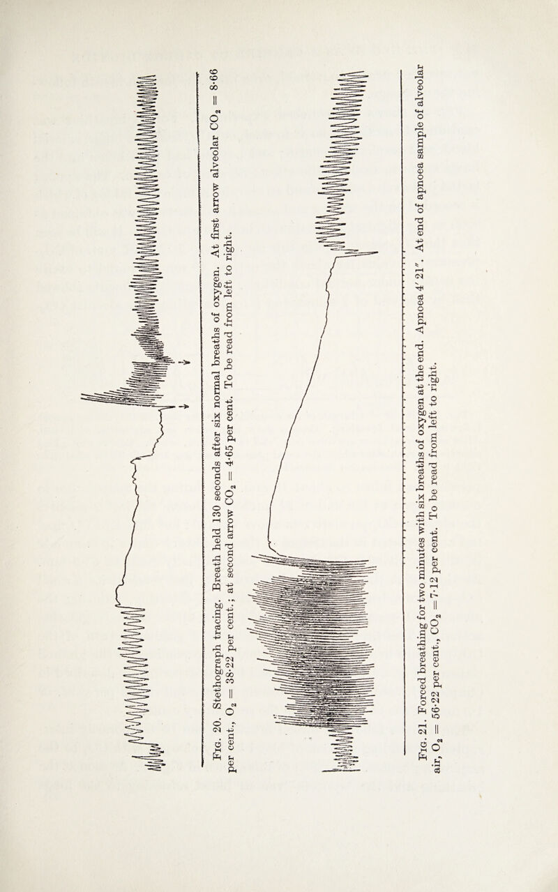 p c3 *—«< o © j> cd «+-( o © ■p* a cc TO o3 © o & O Tt u © -p c\j V <3 © o 0 p 'd fl © © p rC pCj P W) P c3 • rH p S © O -p QD p p © X o a a o o TO p p ,4 -p T3 c3 eg © © P P rQ © M 02 o rQ -P Eh • pH £ p TO 0 © © -P © 0 p A © • rH a P 0 <N O rH £ • i- -p ii p II N b*o •SQ. ■s j 03 C © © P rQ © p © ^ cl, 0) P o <? * s Cl 2 o ^ tf • rH c3