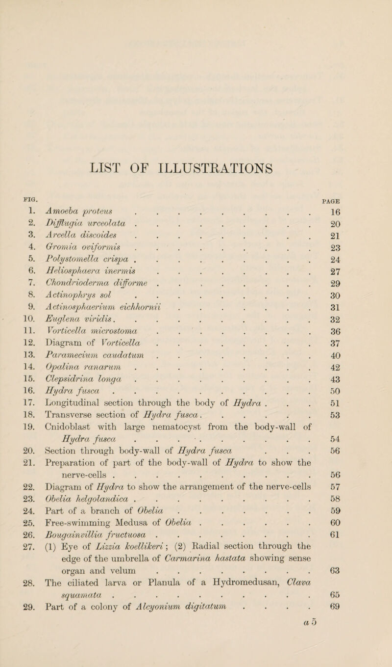 LIST OF ILLUSTRATIONS FIG. PAGE 1. Amoeba proteus ........ 16 2. Difflugia urceolata ........ 20 3. Arcella discoides ........ 21 4. Gromia oviformis ........ 23 5. Polystomella crispa ........ 24 6. Heliosphaera inermis ....... 27 7. Chondrioderma diforme ....... 29 8. Actinophrys sol ........ 30 9. Actinosphaerium eichhornii ...... 31 10. Euglena viridis. ........ 32 11. Vorticella microstoma ....... 36 12. Diagram of Vorticella ....... 37 13. Paramecium caudatum ....... 40 14. Opalina ranarum ........ 42 15. Clepsidrina longa ........ 43 16. Hydra fusca ......... 50 17. Longitudinal section through the body of Hydra . 51 18. Transverse section of Hydra fusca..... 53 19. Cnidoblast with large nematocyst from the body-wall of Hydra fusca . . . 54 20. Section through body-wall of Hydra fusca 56 21. Preparation of part of the body-wall of Hydra to show the nerve-cells ......... 56 22. Diagram of Hydra to show the arrangement of the nerve-cells 57 23. Obelia helgolandica ........ 58 24. Part of a branch of Obelia ...... 59 25. Free-swimming Medusa of Obelia ..... 60 26. Bougainvillia fructuosa ....... 61 27. (1) Eye of Lizzia koellikeri ; (2) Padial section through the edge of the umbrella of Carmarina hastata showing sense organ and velum ....... • 63 28. The ciliated larva or Planula of a Hydromedusan, Clava squamata ......... • 65 29. Part of a colony of Alcyonium digitatum a 5 69