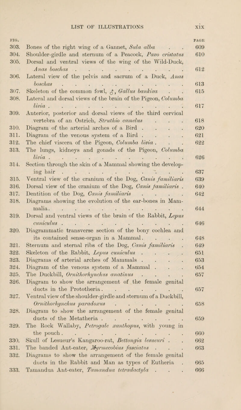 FIG. PAGE 303. Bones of the right wing of a Gannet, Sula alba . . 609 304. Shoulder-girdle and sternum of a Peacock, Pavo cristatus 610 305. Dorsal and ventral views of the wing of the Wild-Duck, Anas boschas . . . . . . . . . 612 306. Lateral view of the pelvis and sacrum of a Duck, Anas boschas .......... 613 307. Skeleton of the common fowl, f, Gallus bankiva . . 615 308. Lateral and dorsal views of the brain of the Pigeon, Columba livia ........... 617 309. Anterior, posterior and dorsal views of the third cervical vertebra of an Ostrich, Struthio camelus . . . 618 310. Diagram of the arterial arches of a Bird .... 620 311. Diagram of the venous system of a Bird .... 621 312. The chief viscera of the Pigeon, Columba livia . . . 622 313. The lungs, kidneys and gonads of the Pigeon, Columba livia ........... 626 314. Section through the skin of a Mammal showing the develop¬ ing hair 637 315. Ventral view of the cranium of the Dog, Canis familiaris 639 316. Dorsal view of the cranium of the Dog, Canis familiaris . 640 317. Dentition of the Dog, Canis familiaris .... 642 318. Diagrams showing the evolution of the ear-bones in Mam¬ malia. .......... 644 319. Dorsal and ventral views of the brain of the Babbit, Lepus cuniculus .......... 646 320. Diagrammatic transverse section of the bony cochlea and its contained sense-organ in a Mammal.... 648 321. Sternum and sternal ribs of the Dog, Canis familiaris . 649 322. Skeleton of the Rabbit, Lepus cuniculus . . . . 651 323. Diagrams of arterial arches of Mammals .... 653 324. Diagram of the venous system of a Mammal . . . 654 325. The Duckbill, Ornithorhynchus anatinus .... 657 326. Diagram to show the arrangement of the female genital ducts in the Prototheria....... 657 327. Ventral view of the shoulder-girdle and sternum of a Duckbill, Ornithorhynchus paradoxus ...... 658 328. Diagram to show the arrangement of the female genital ducts of the Metatheria ....... 659 329. The Rock Wallaby, Petrogale xanthopus, with young in the pouch.660 330. Skull of Lesueur’s Kangaroo-rat, Bettongia lesueuri . . 662 331. The banded Ant-eater, Afyrmecobius fasciatus . . . 663 332. Diagrams to show the arrangement of the female genital ducts in the Rabbit and Man as types of Eutheria . 665 333. Tamaudua Ant-eater, Tamandua tetradactyla . . . 666